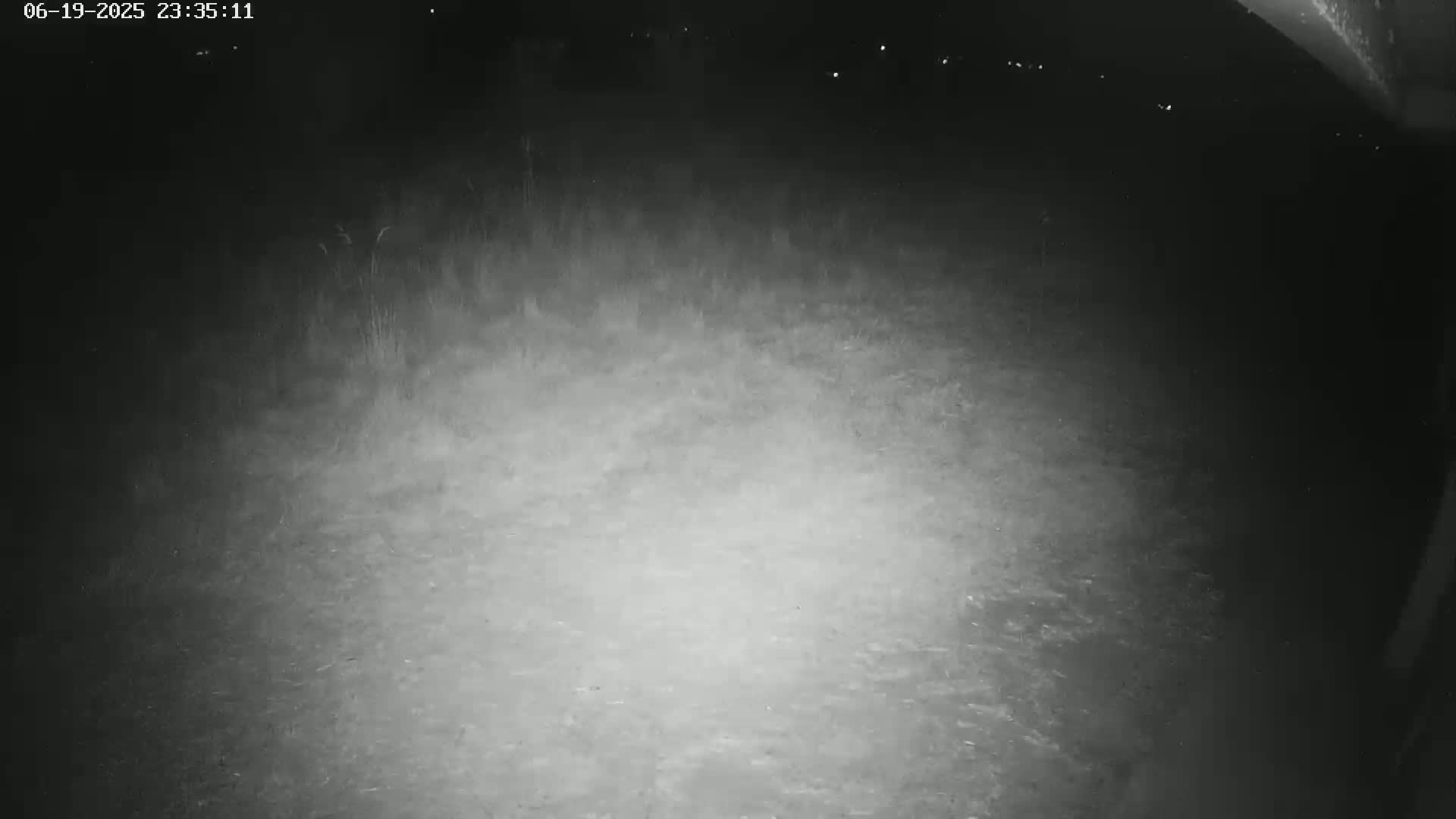 Gougenheim Live Cam - Saverne, Bas-Rhin,  Grand Est, France
