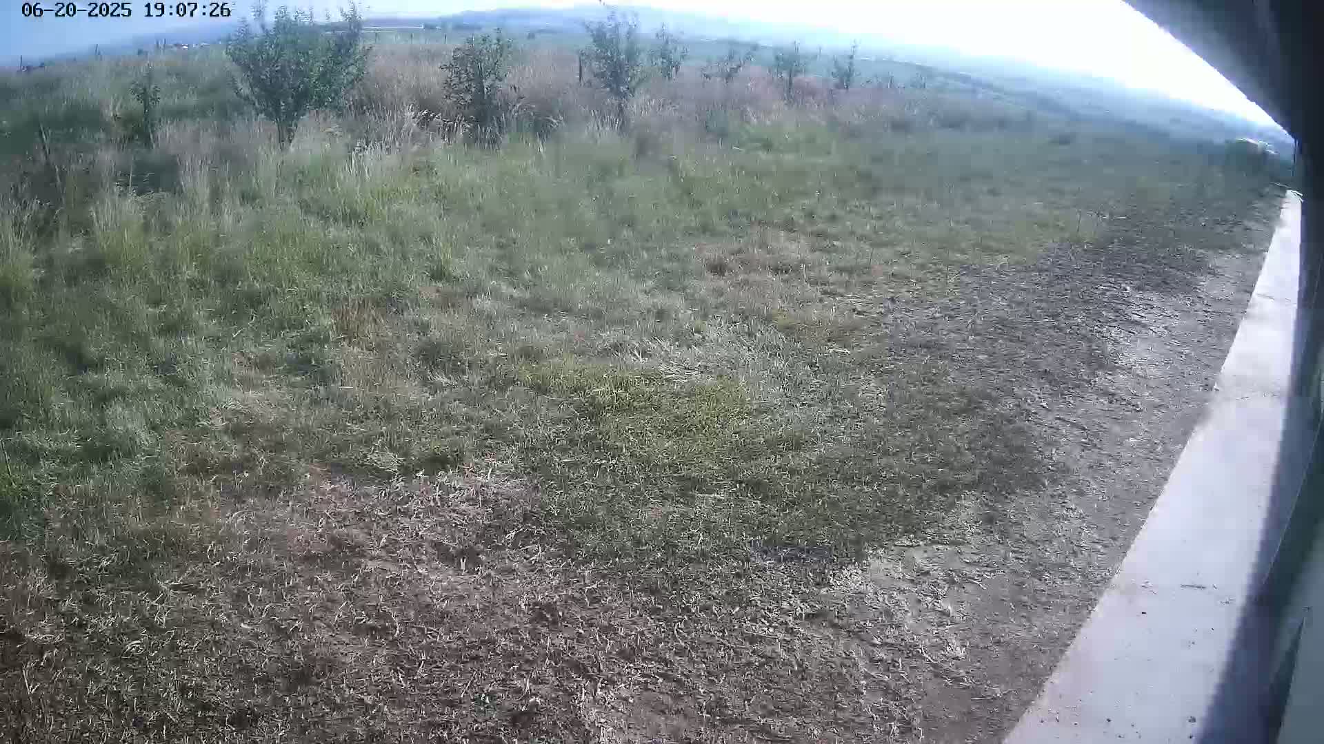 A mostly overcast view shows a grassy field with some small trees and a concrete edge in the lower right corner.