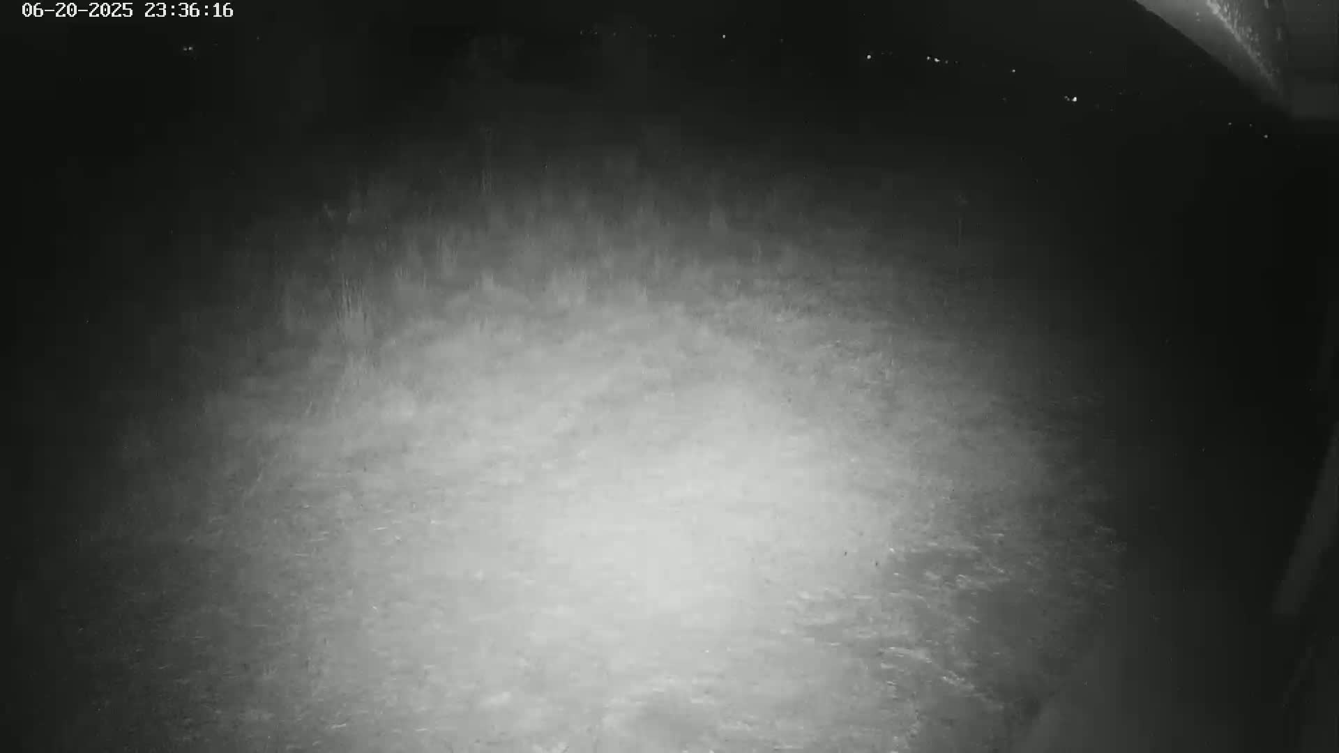Gougenheim Live Cam - Saverne, Bas-Rhin,  Grand Est, France
