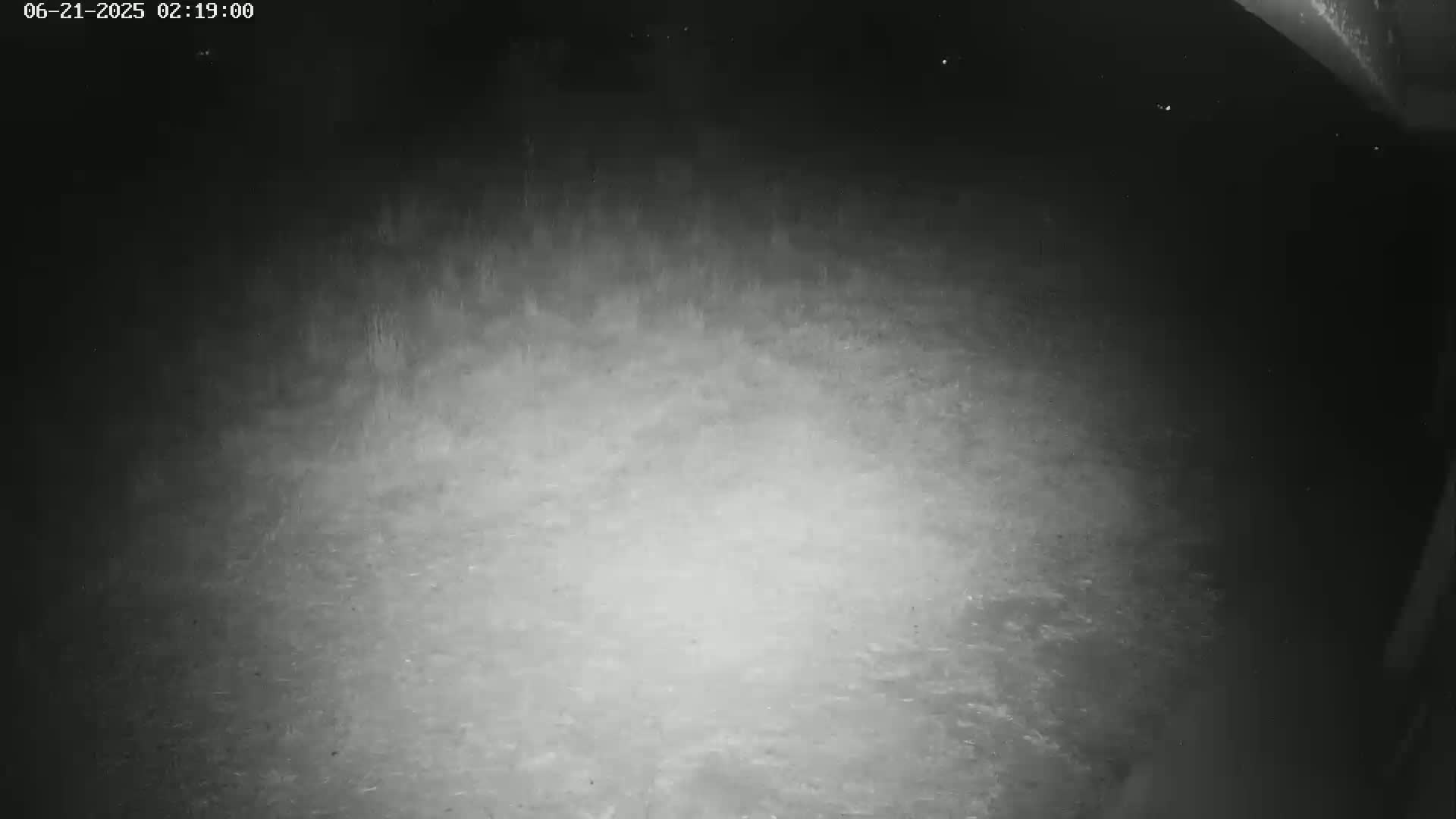 Gougenheim Live Cam - Saverne, Bas-Rhin,  Grand Est, France