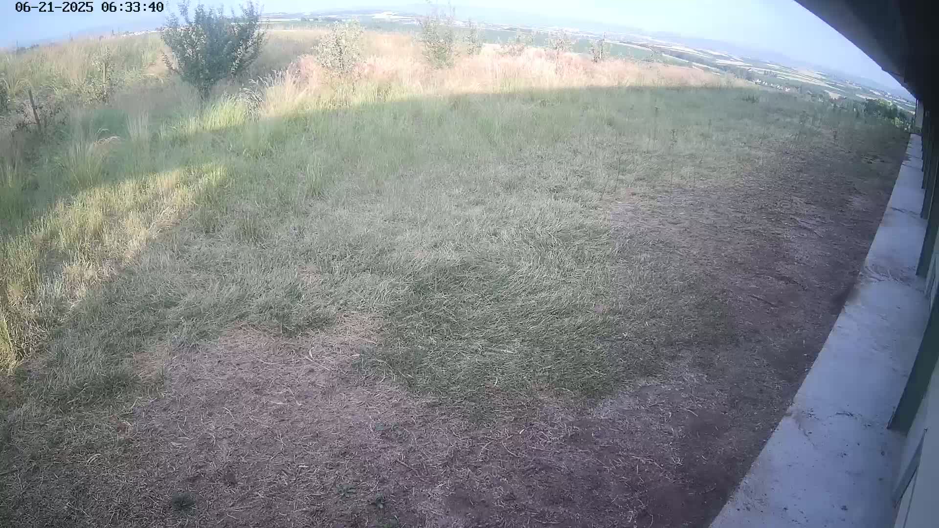 A grassy area with patches of bare ground next to a concrete surface under a partly sunny sky.