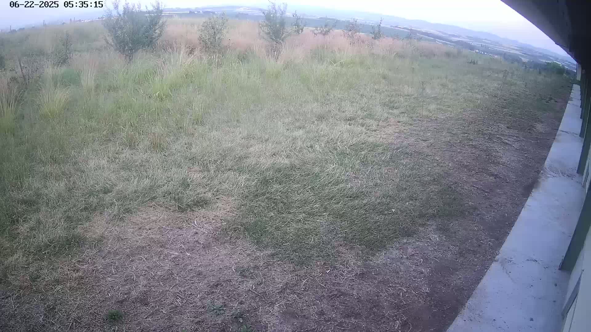 Gougenheim Live Cam - Saverne, Bas-Rhin,  Grand Est, France