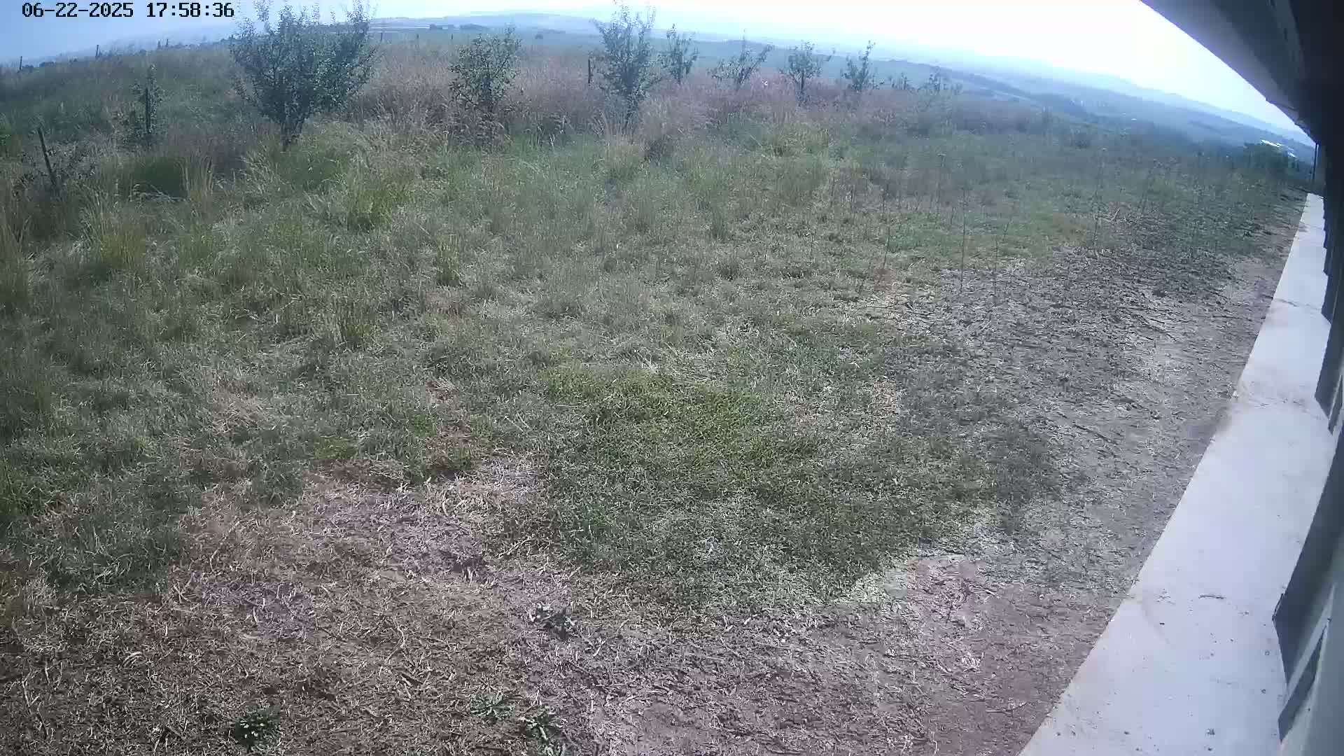A mostly grassy area with patches of bare earth is visible, extending to a hazy, distant horizon under an overcast sky.