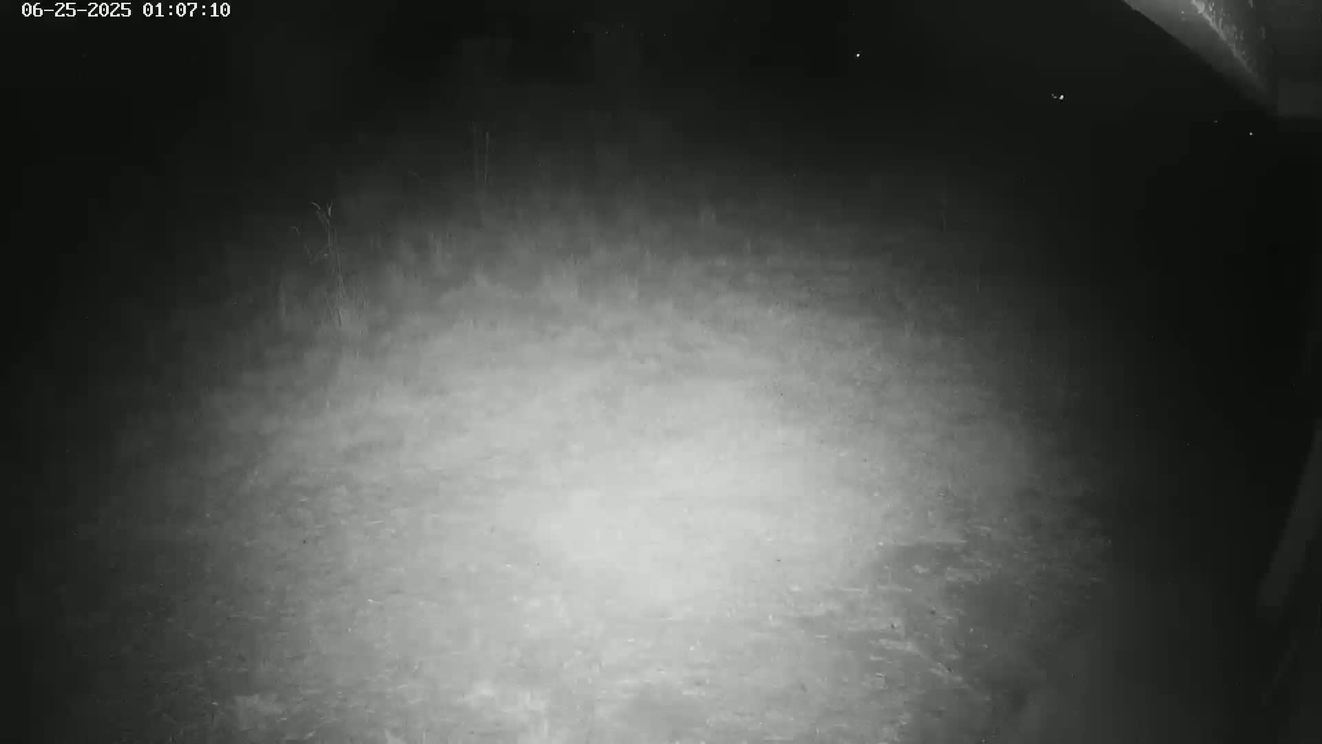 Gougenheim Live Cam - Saverne, Bas-Rhin,  Grand Est, France