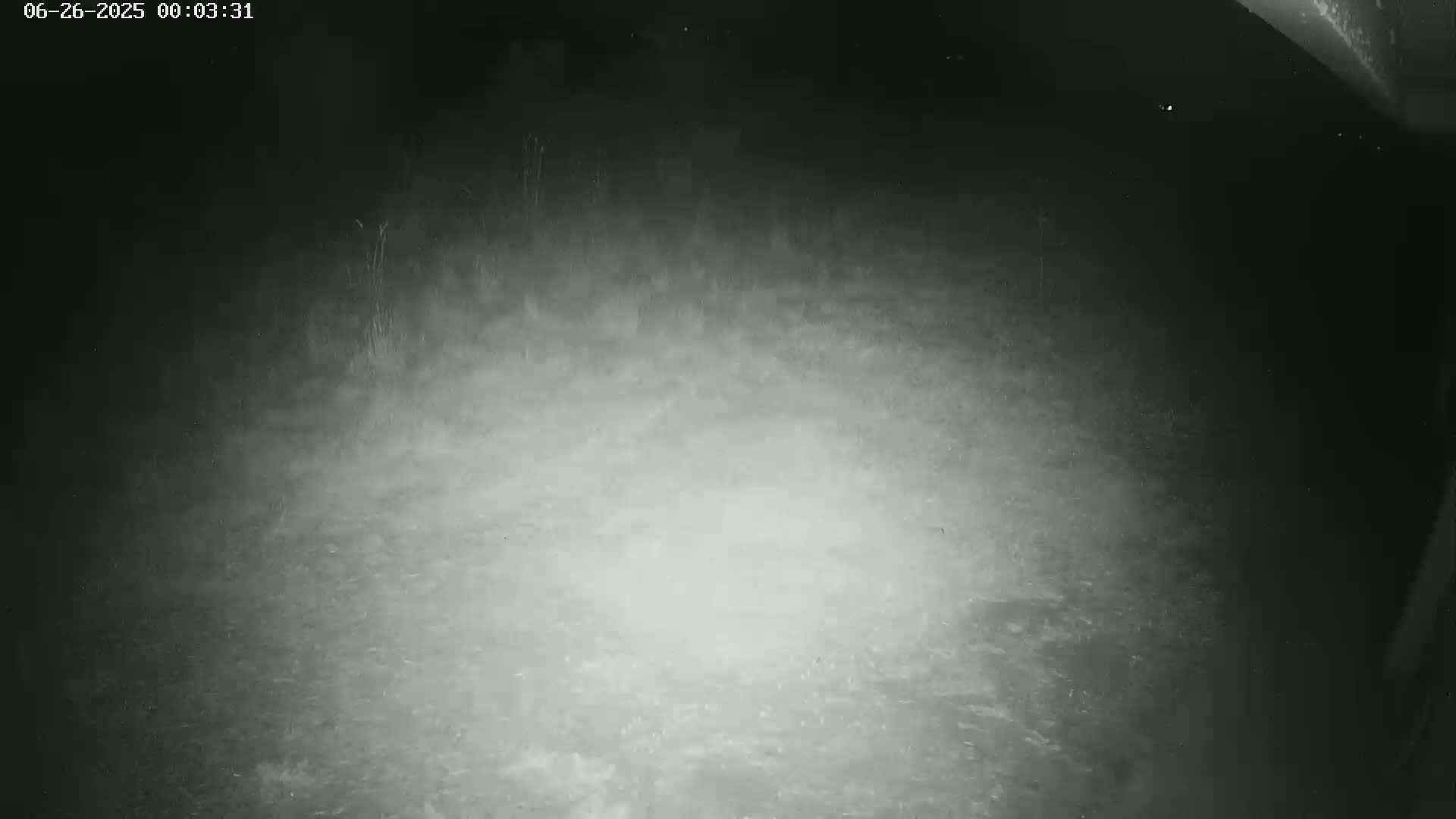 Gougenheim Live Cam - Saverne, Bas-Rhin,  Grand Est, France