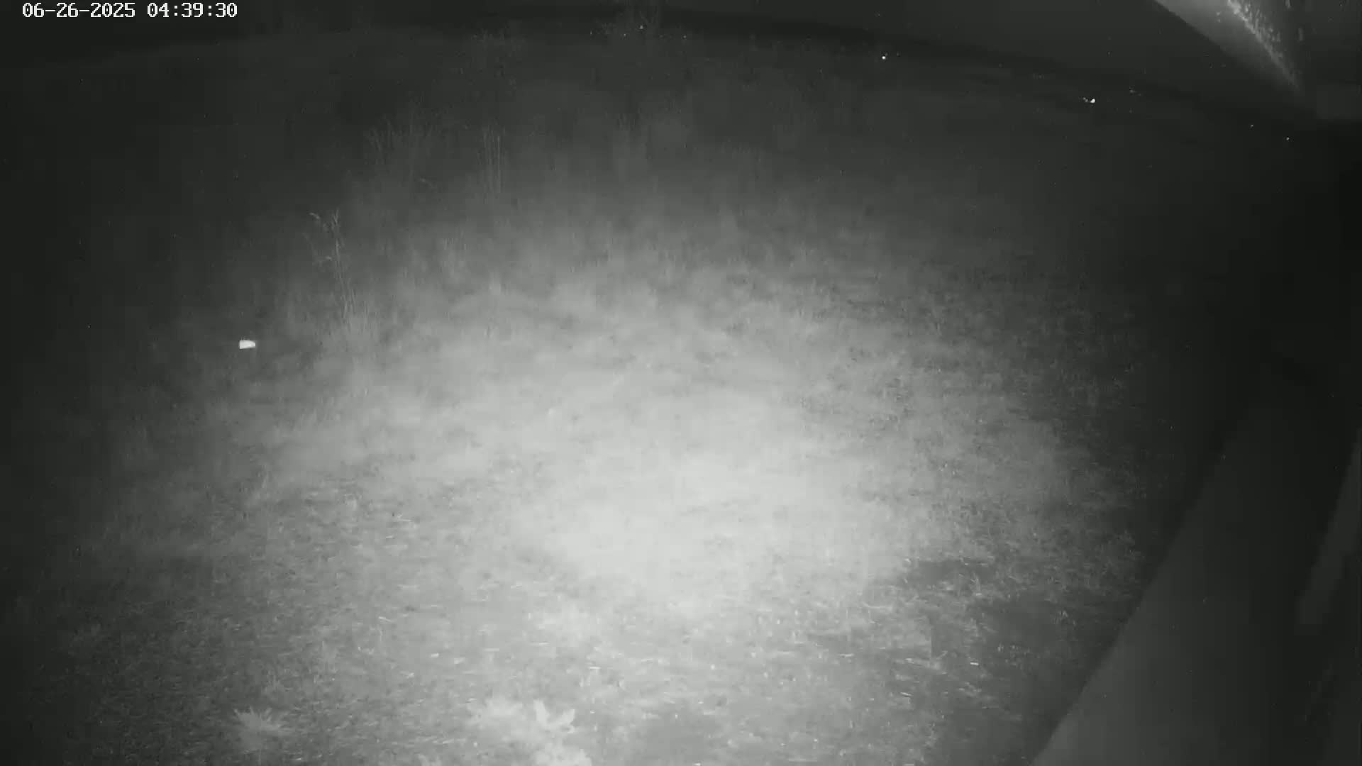 Gougenheim Live Cam - Saverne, Bas-Rhin,  Grand Est, France