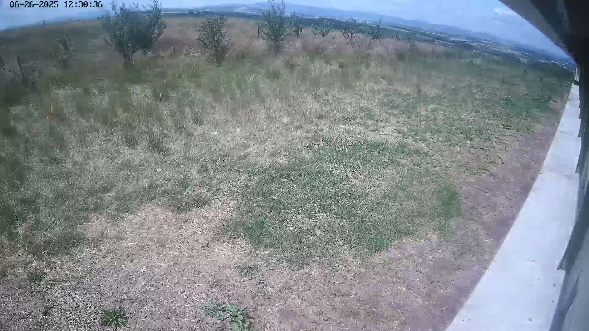 Gougenheim Live Cam - Saverne, Bas-Rhin,  Grand Est, France
