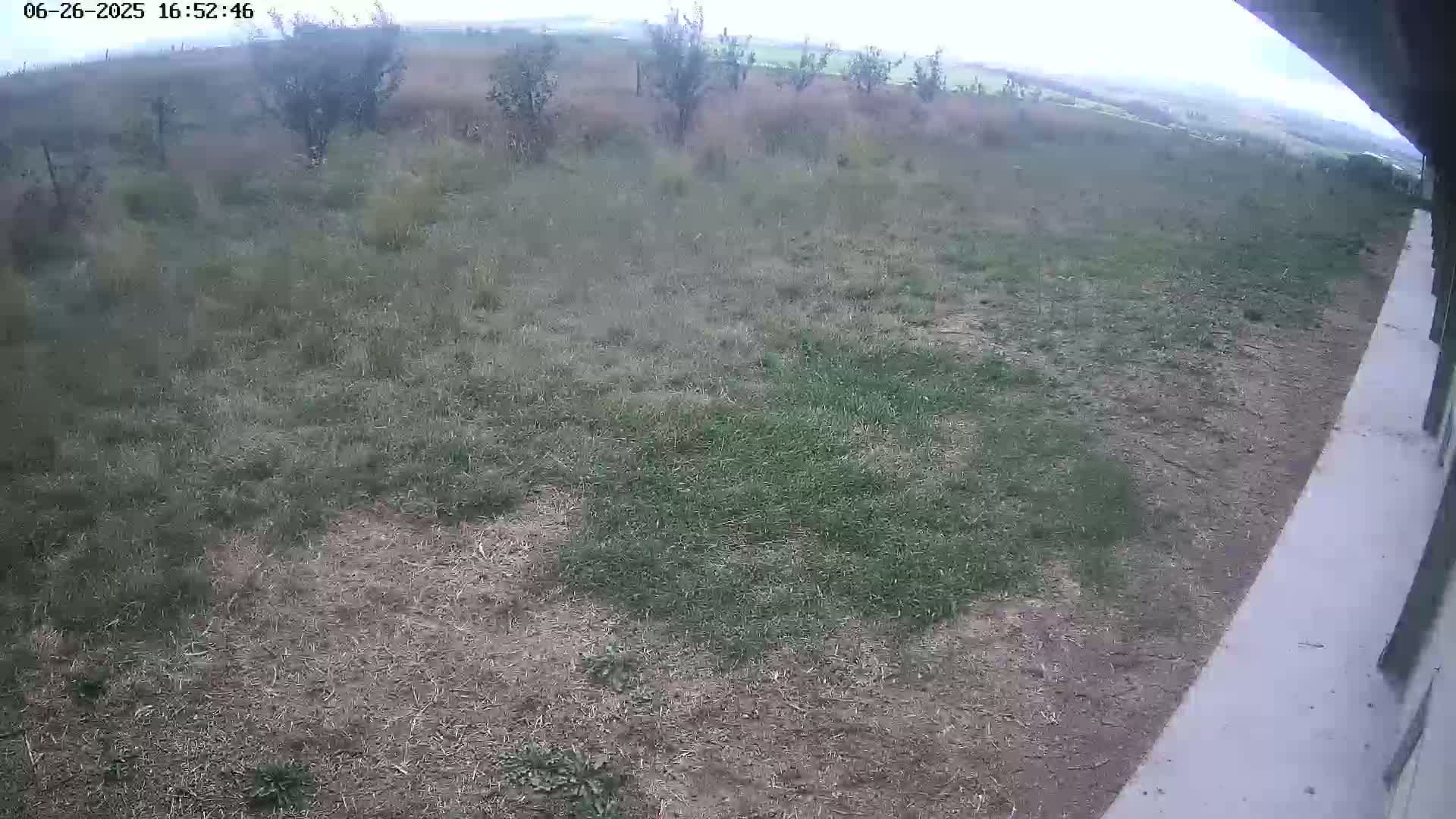 Gougenheim Live Cam - Saverne, Bas-Rhin,  Grand Est, France
