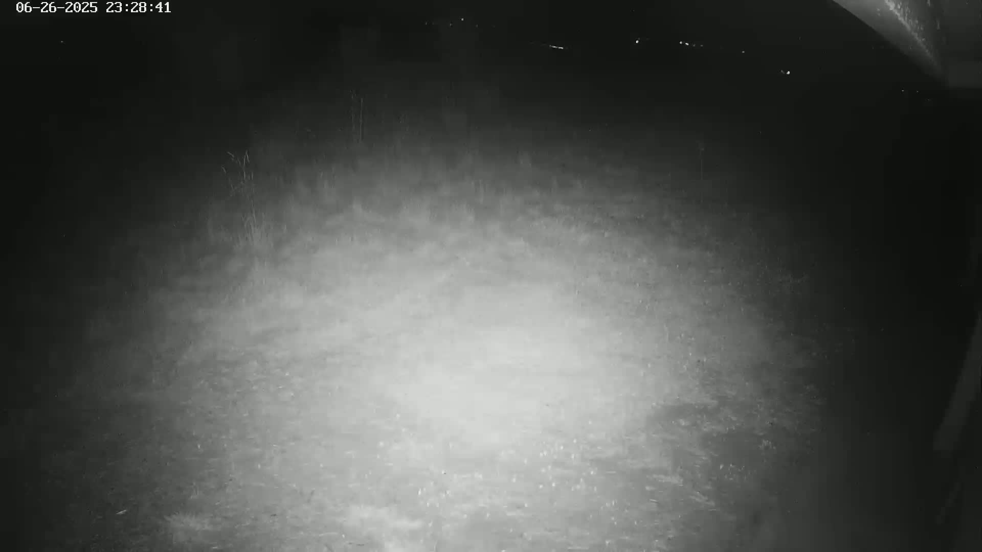 Gougenheim Live Cam - Saverne, Bas-Rhin,  Grand Est, France