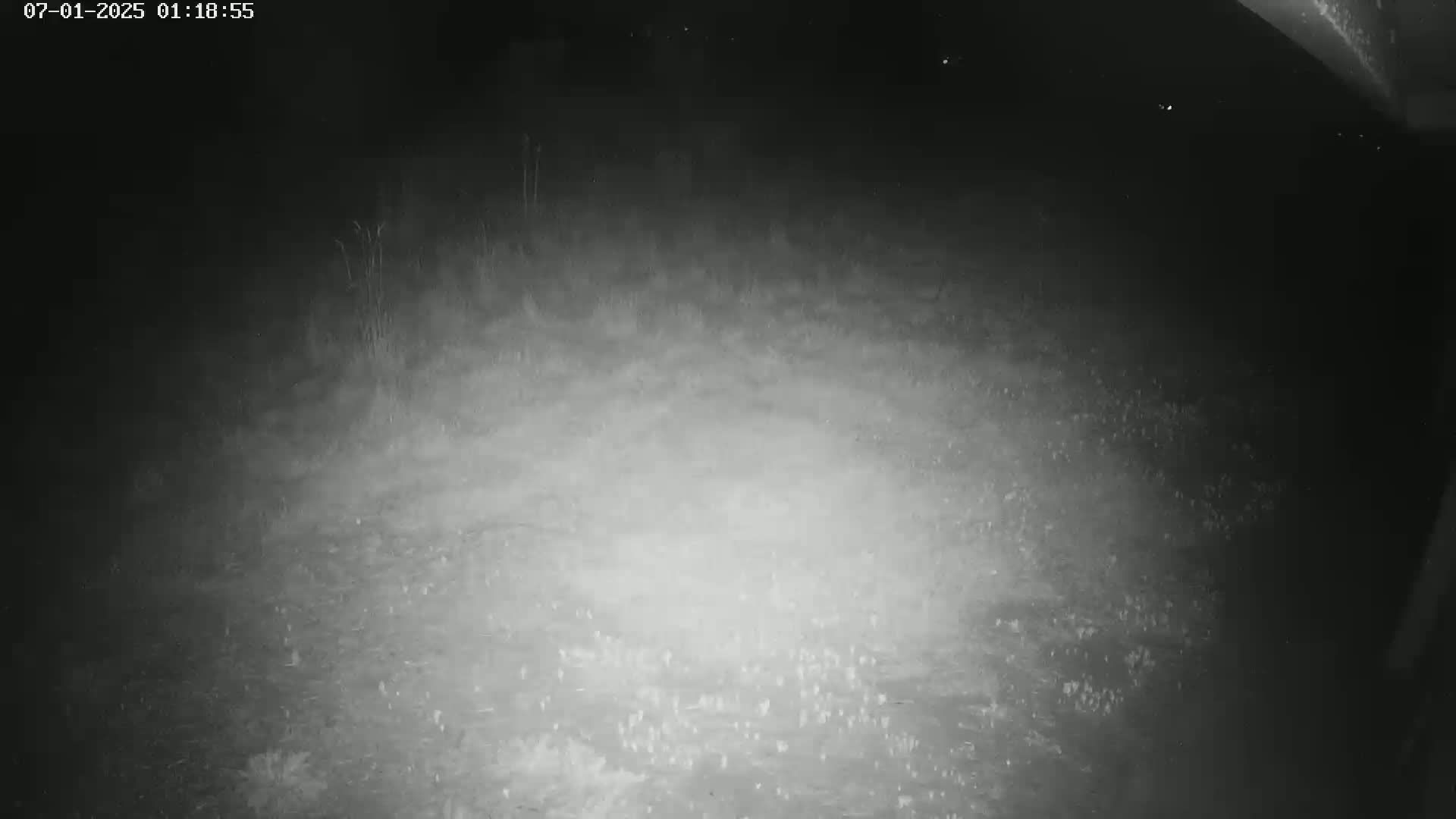 Gougenheim Live Cam - Saverne, Bas-Rhin,  Grand Est, France