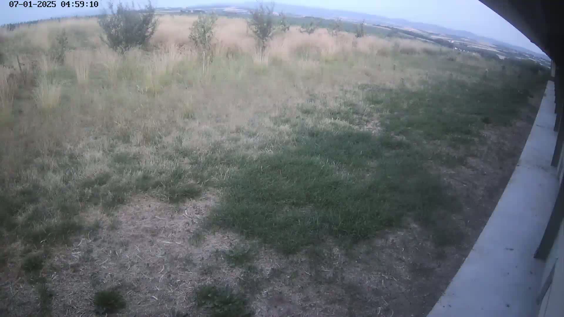 Gougenheim Live Cam - Saverne, Bas-Rhin,  Grand Est, France