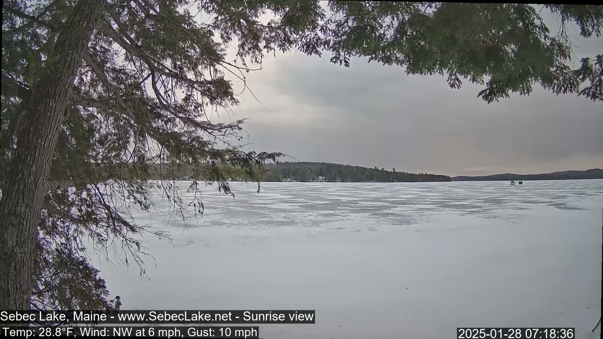A partially frozen lake is seen under an overcast sky, viewed from behind tree branches.