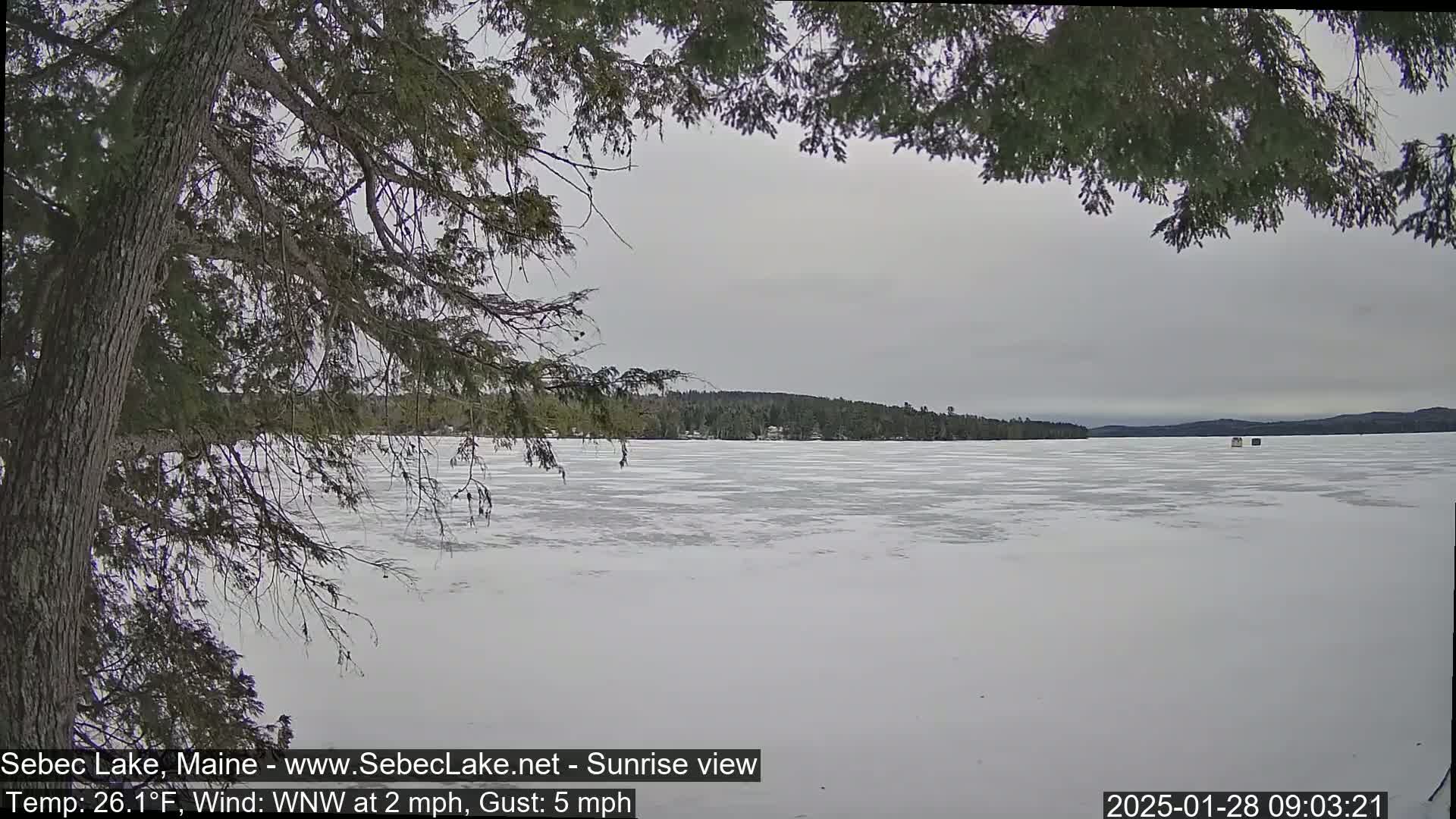 A mostly cloudy day shows a snow-covered frozen lake with a tree branch in the foreground and a distant treeline.