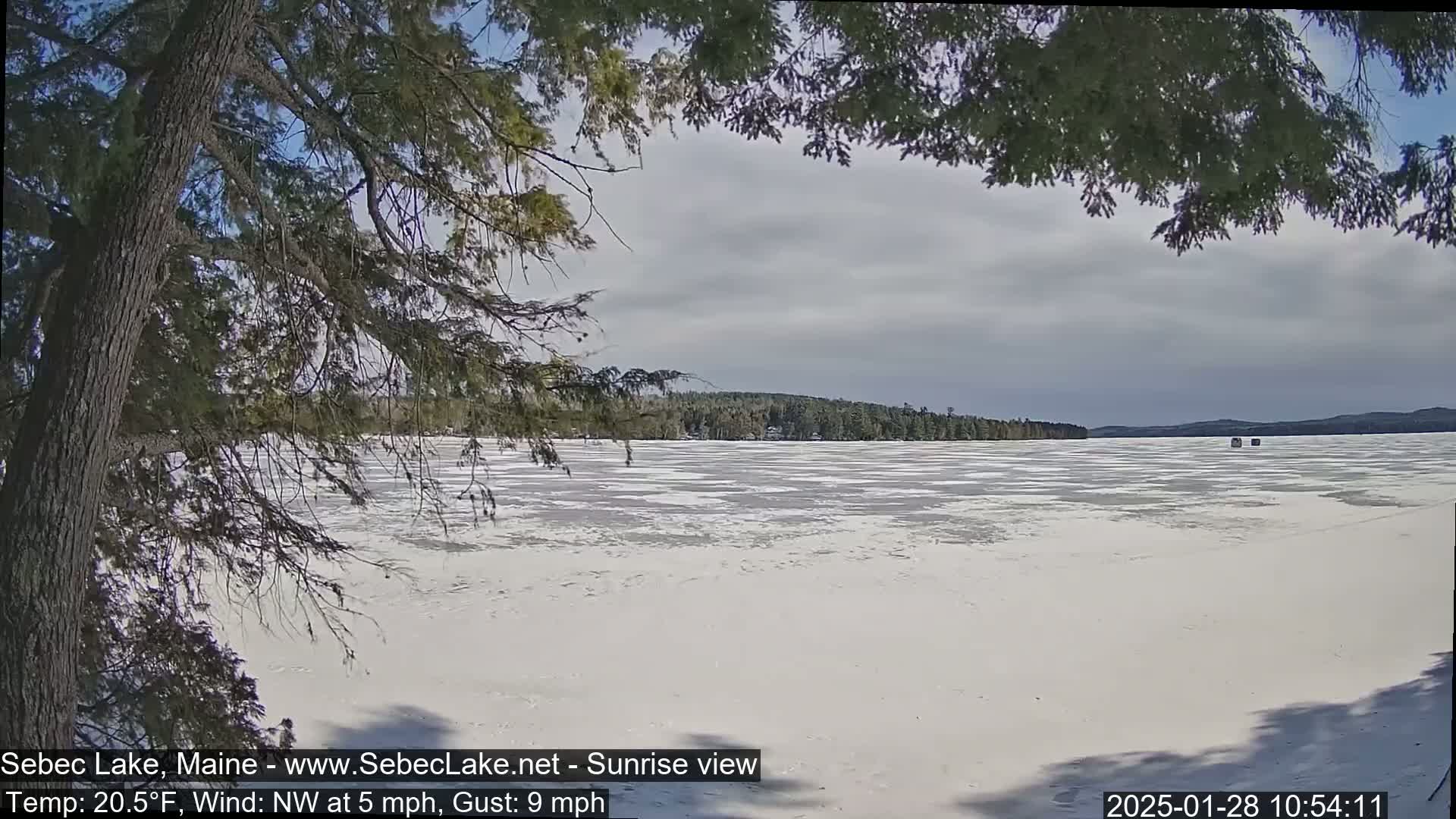 A partially frozen lake is viewed from under tree branches, with a cloudy sky and a distant treeline.