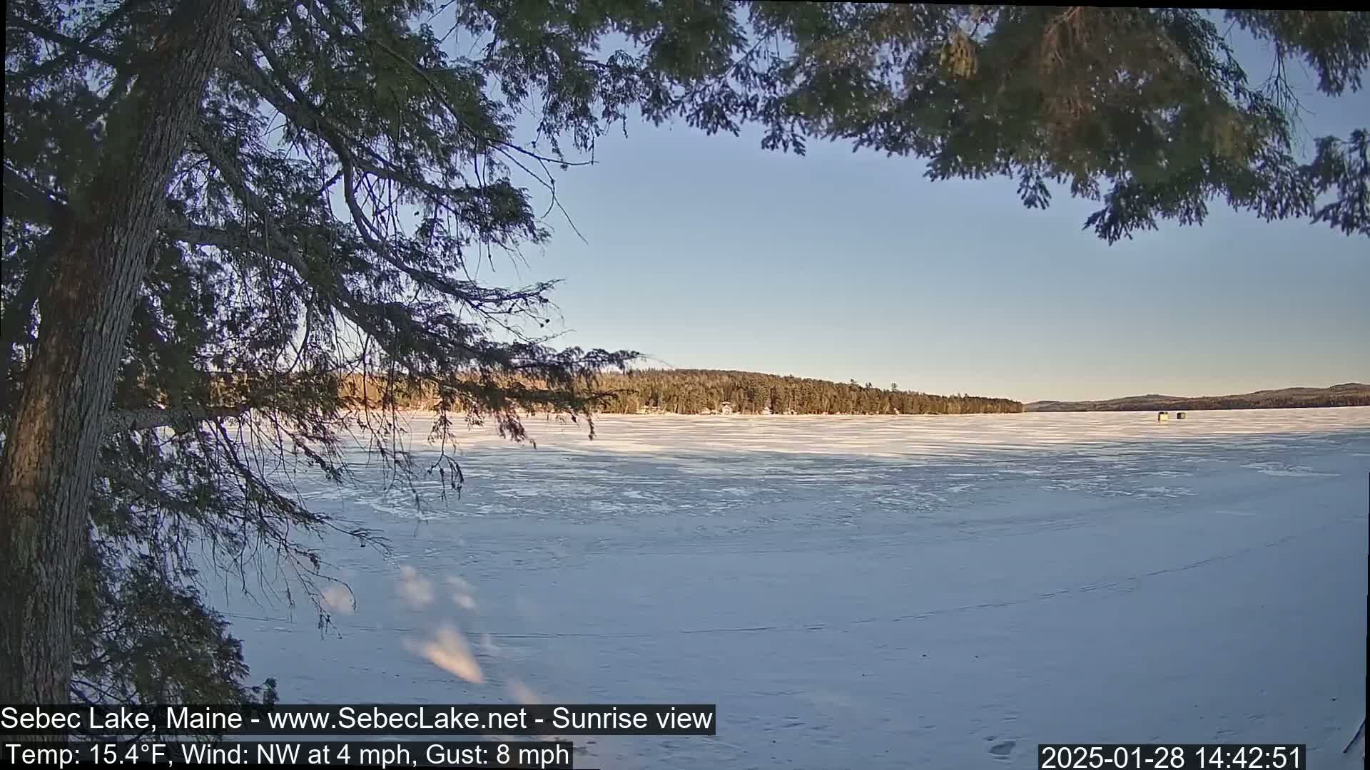 A frozen lake is seen through the branches of a coniferous tree under a clear, bright sky.