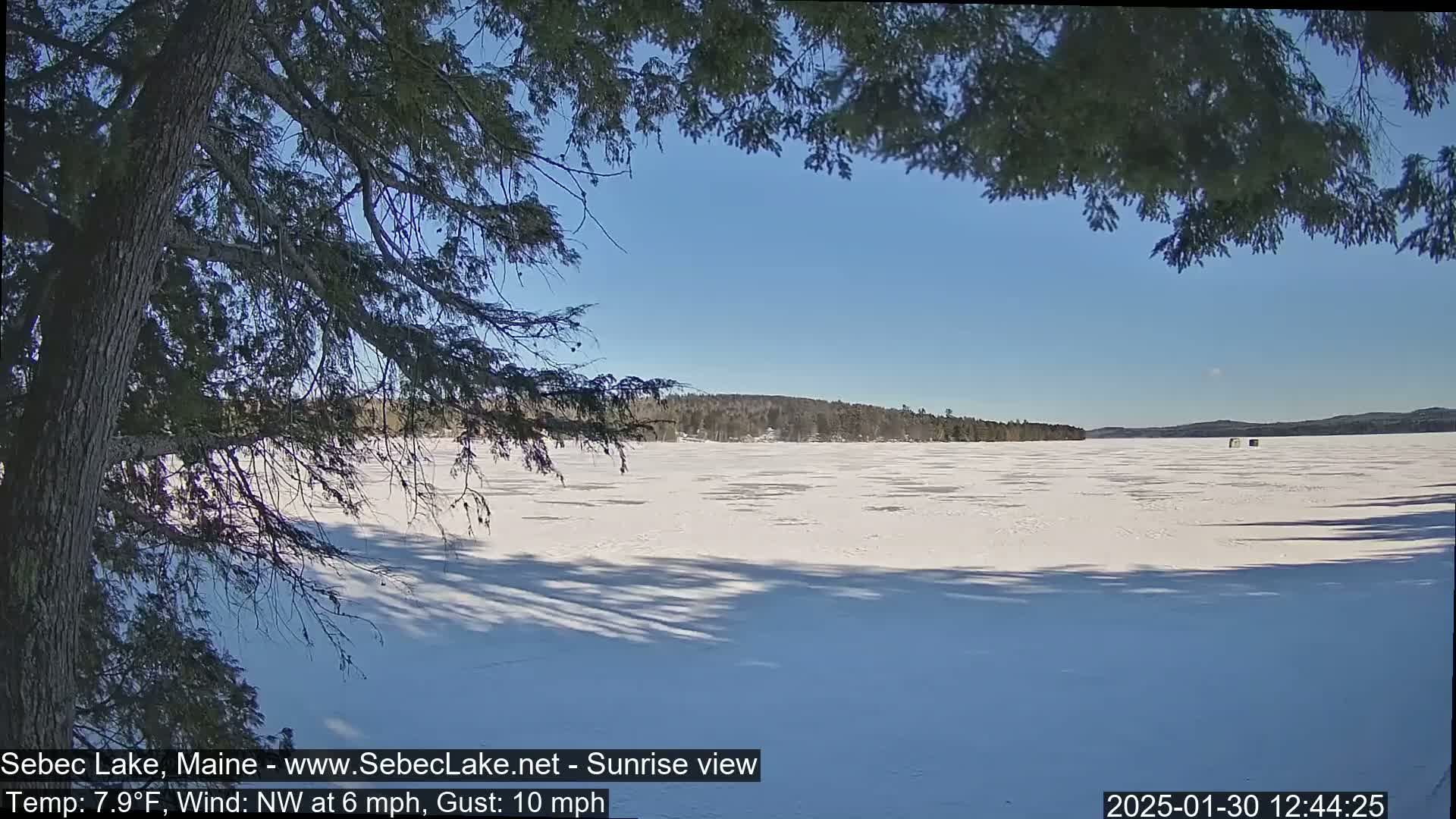 A frozen lake is seen through the branches of a tree on a sunny day with a light northwest wind.