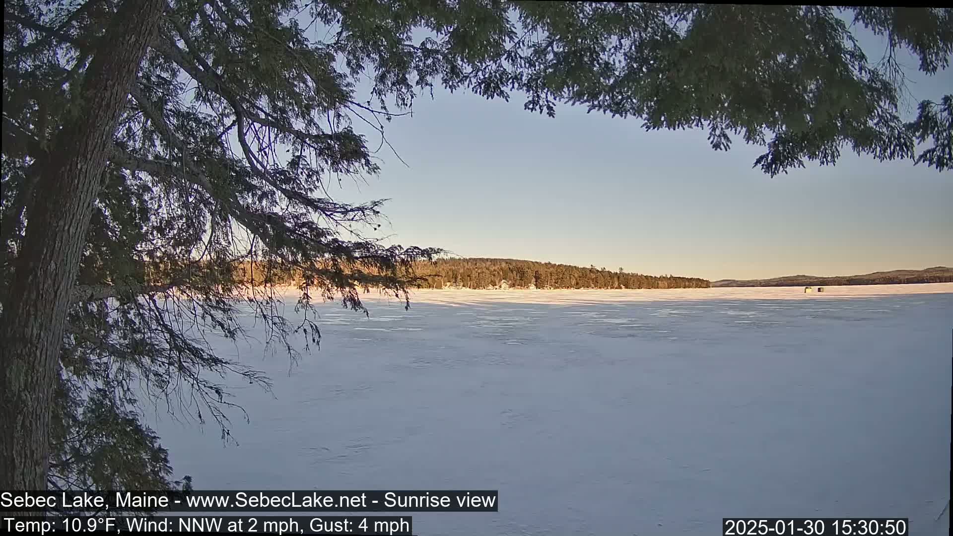 A frozen lake is visible through the branches of a tree, under a clear, calm sky at sunrise.