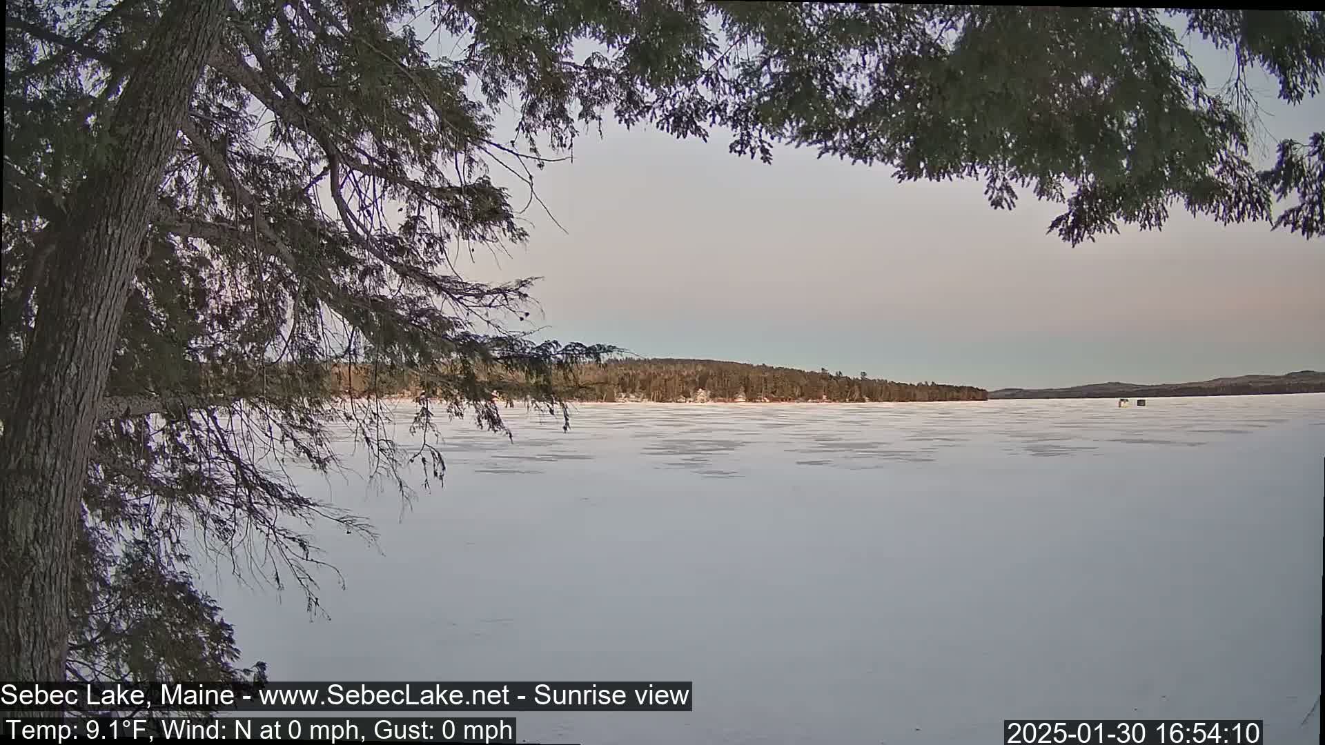 A mostly calm, snow-covered lake is seen through the branches of a tree at sunrise under a pale sky.
