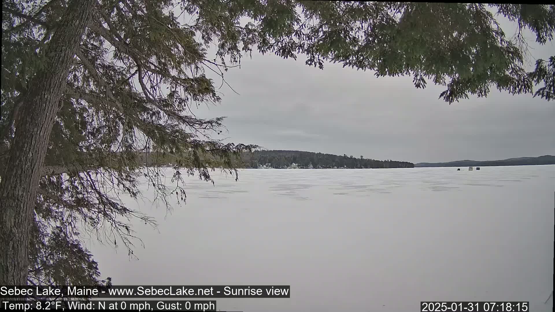 A frozen lake, viewed from behind tree branches, shows a calm, overcast day with a distant shoreline of trees.