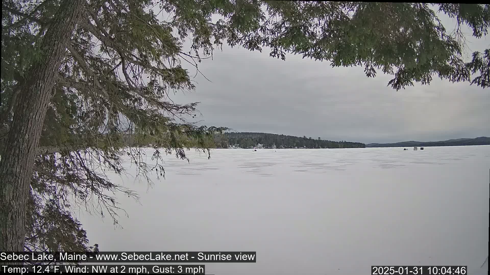 A snow-covered, frozen lake is seen through the branches of a coniferous tree under an overcast sky.