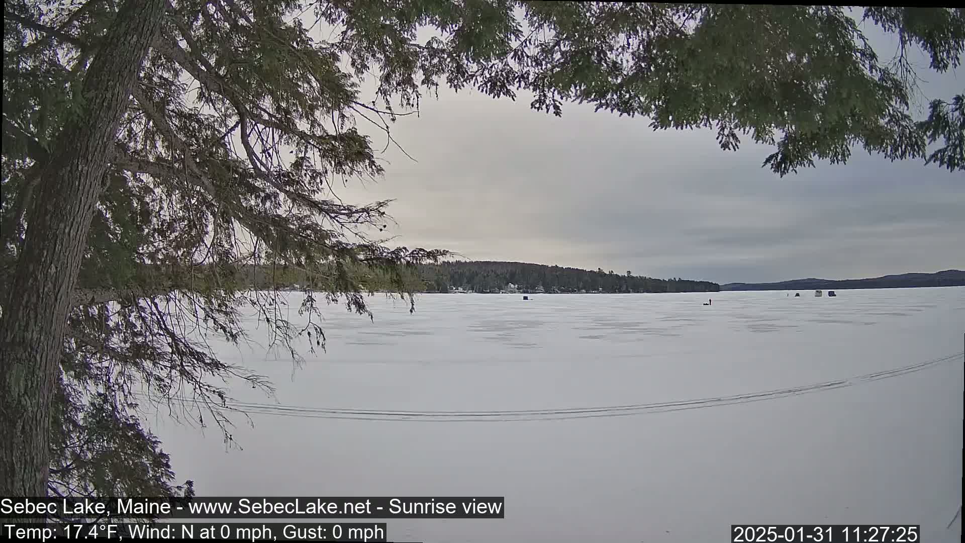 A frozen lake is seen through the branches of a coniferous tree under an overcast sky.