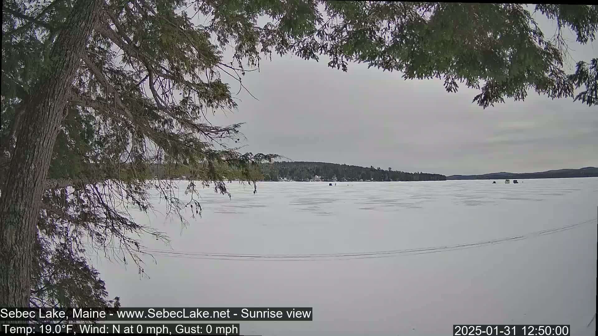 A frozen lake is seen through the branches of a coniferous tree under an overcast sky.