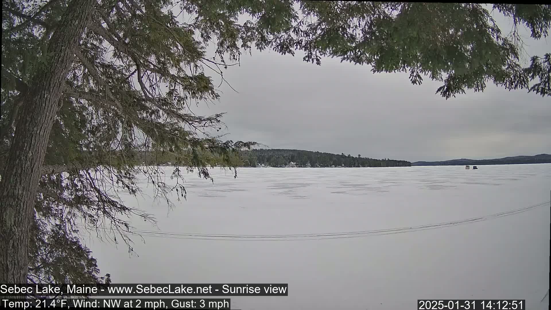 A snow-covered frozen lake is seen from behind a tree, under an overcast sky.