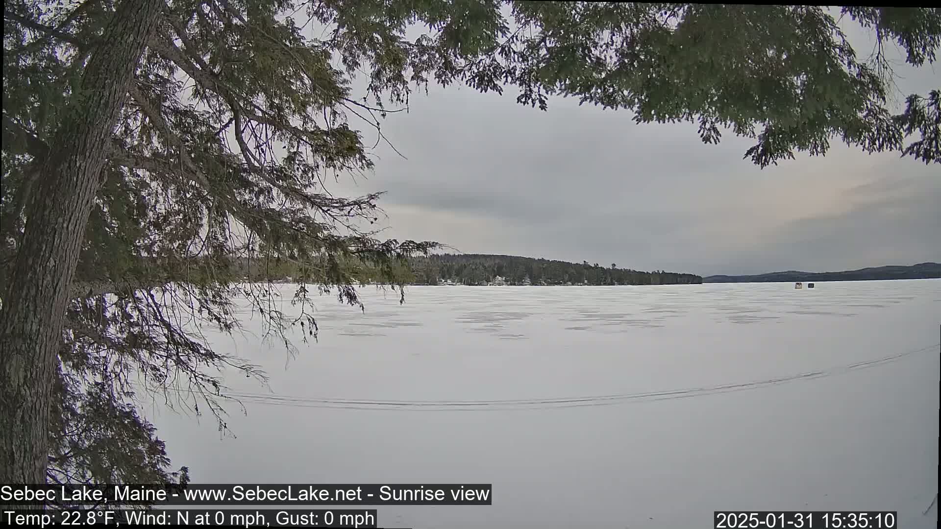 A snow-covered frozen lake is seen through the branches of a coniferous tree under a cloudy sky.