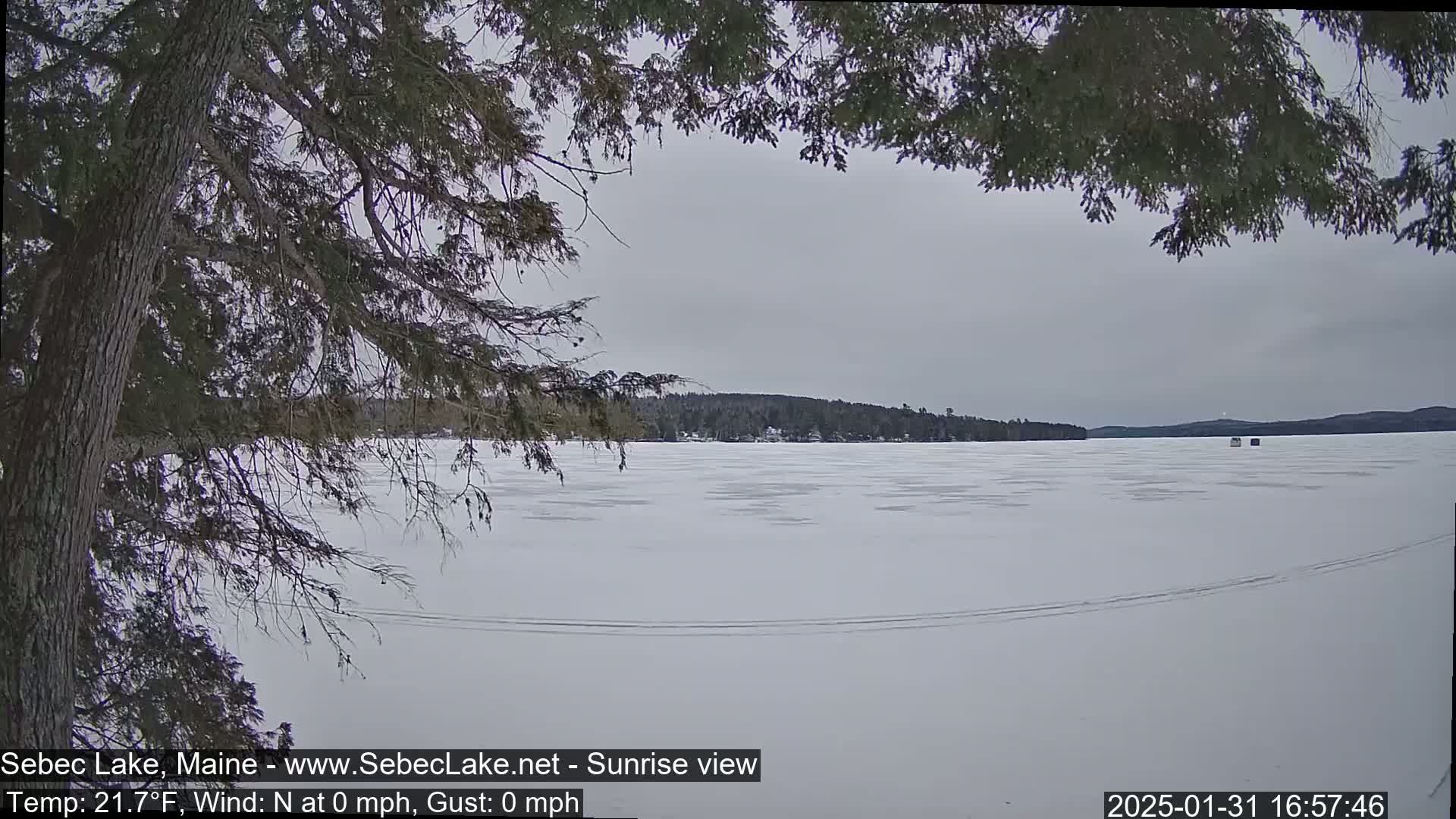 A snow-covered frozen lake is seen from behind a tree's branches under an overcast sky.