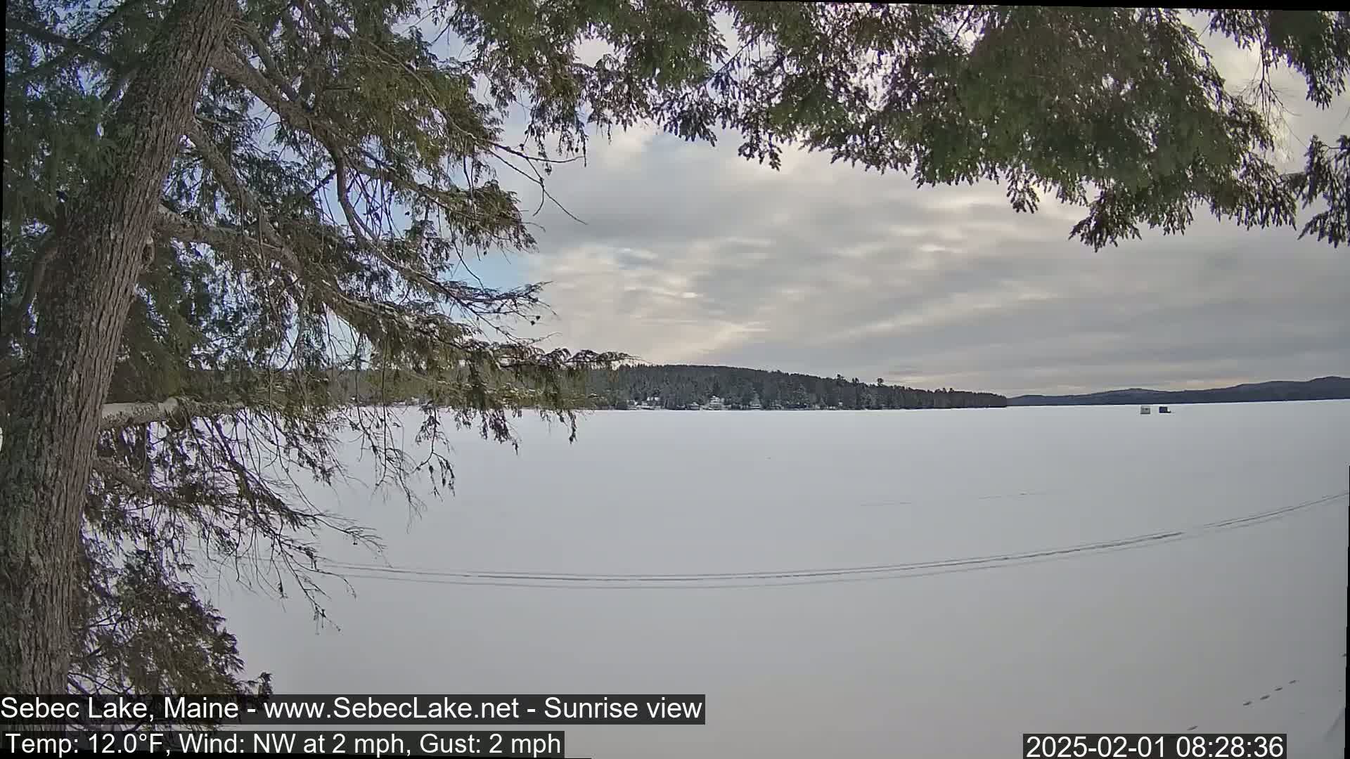 A frozen lake under a cloudy sky is viewed from behind tree branches, with a distant shoreline visible.