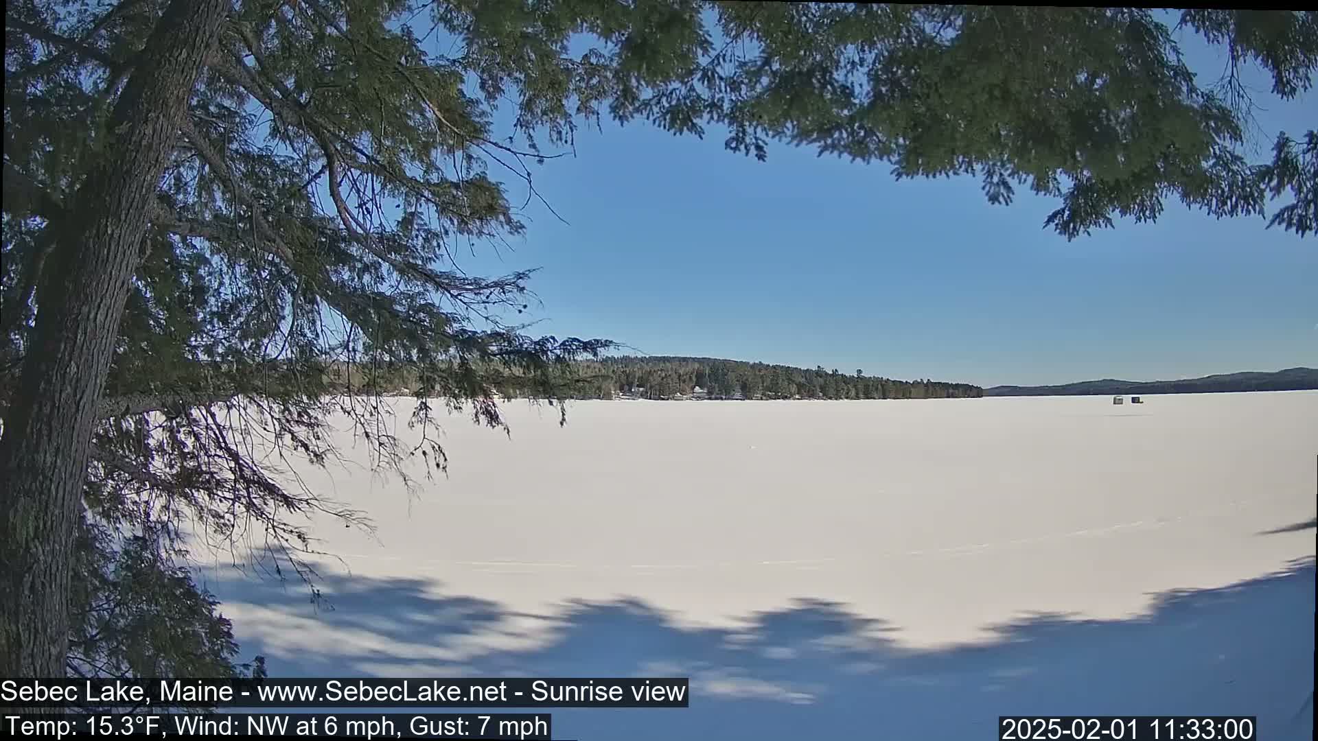 A frozen lake stretches out under a clear blue sky, partially obscured by the branches of a pine tree in the foreground.