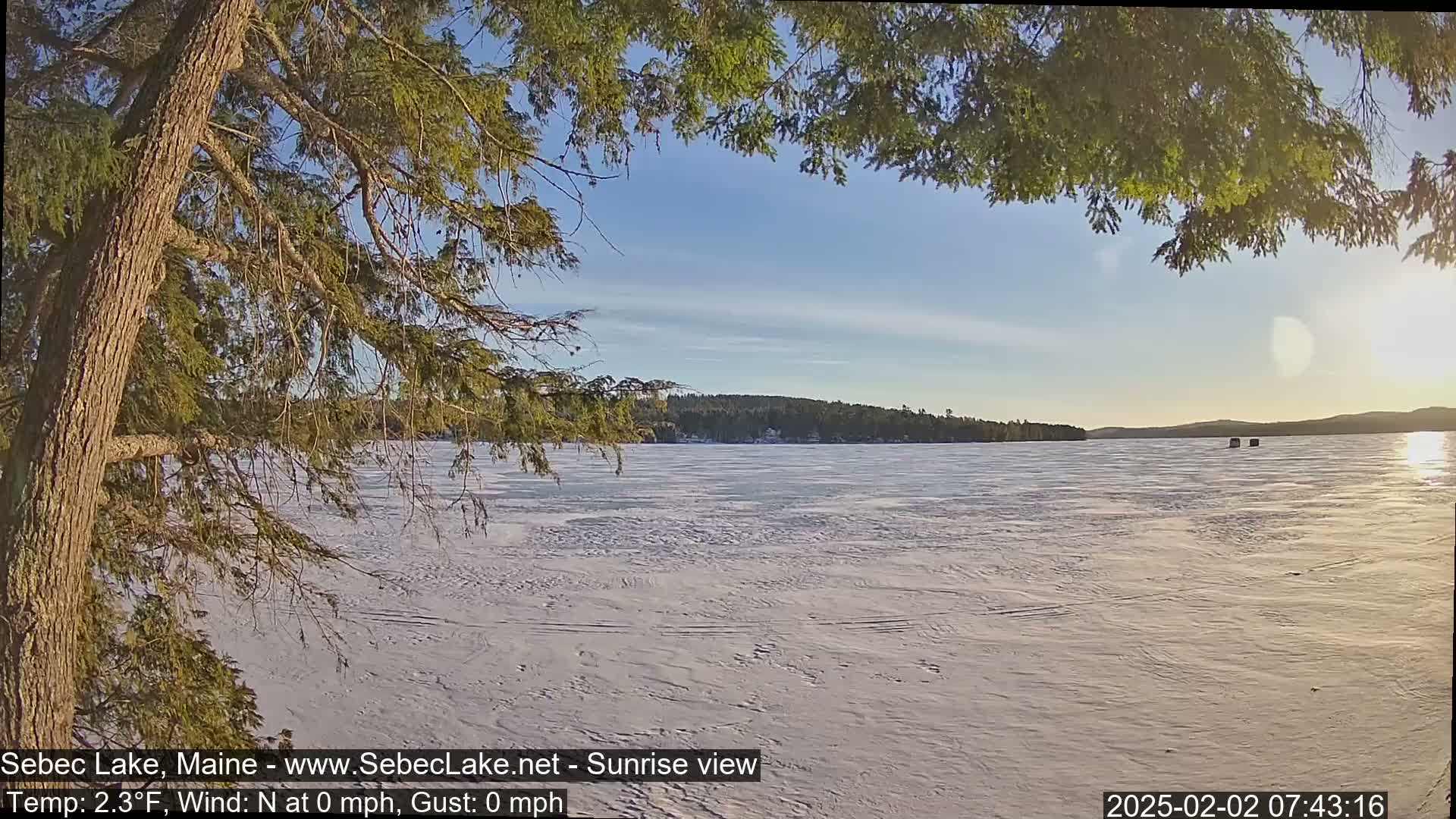 A frozen lake is seen through the branches of a coniferous tree under a clear, sunny sky.