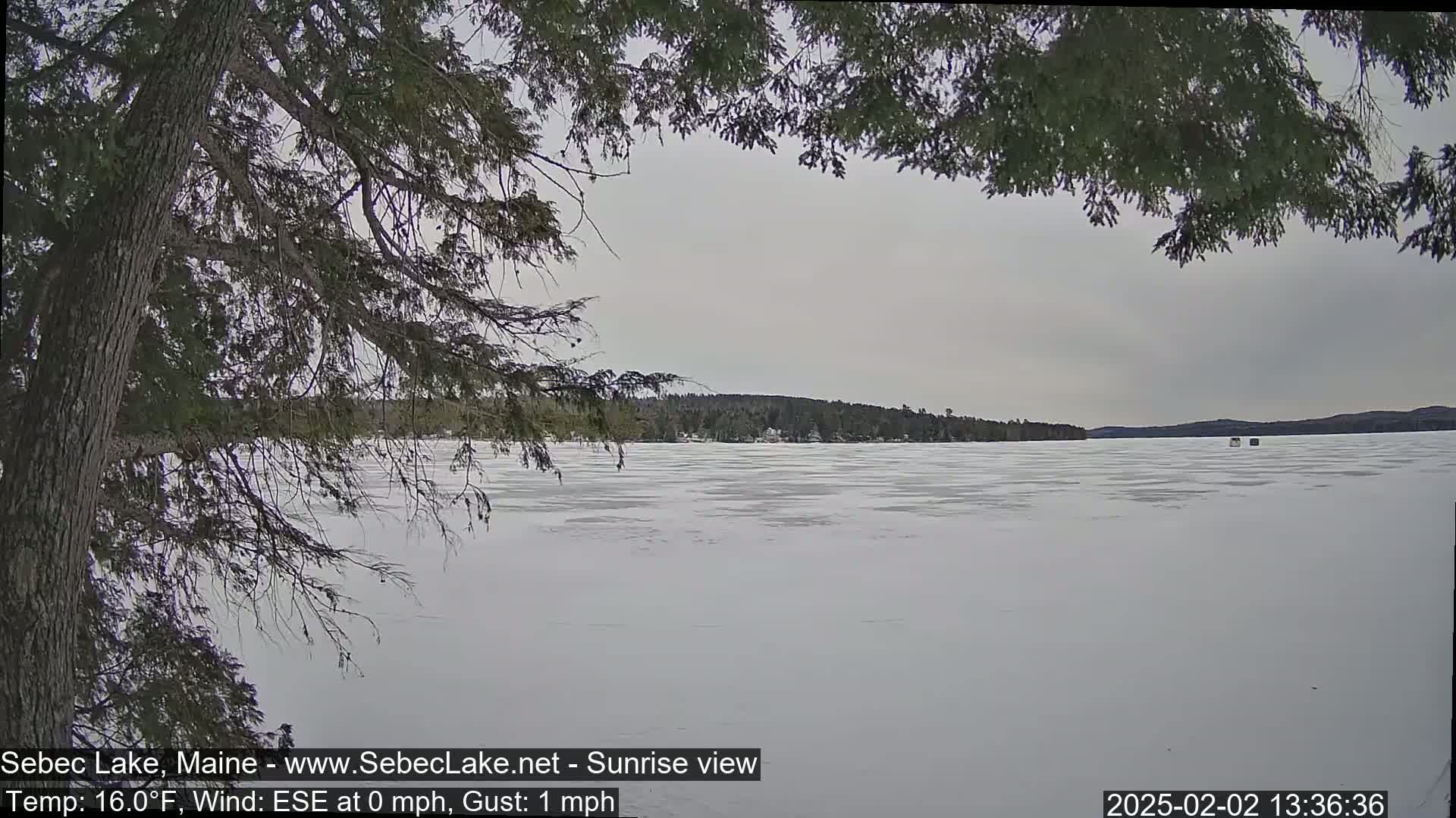 A snow-covered, frozen lake stretches to a tree-lined shore under a gray, overcast sky, partially obscured by overhanging tree branches.