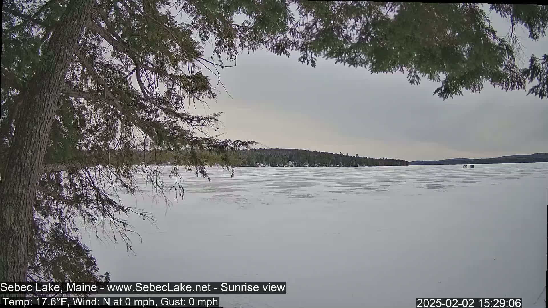 A snow-covered frozen lake is seen through the branches of a tree under a cloudy sky.
