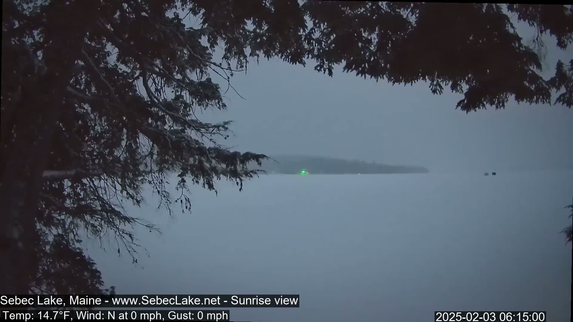 A snow-covered, tree-lined lakeshore is visible through snow-laden branches, with a calm, hazy lake extending to a distant shoreline under an overcast sky.