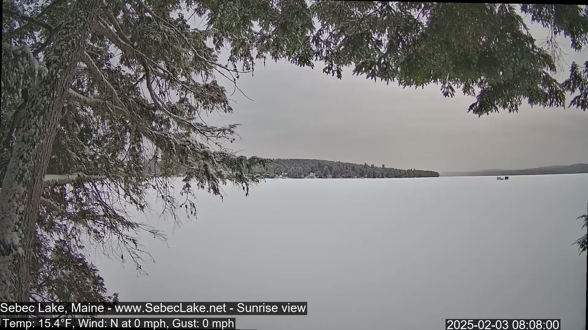 A snow-covered frozen lake is seen through the branches of a snow-laden evergreen tree on a calm, overcast day.