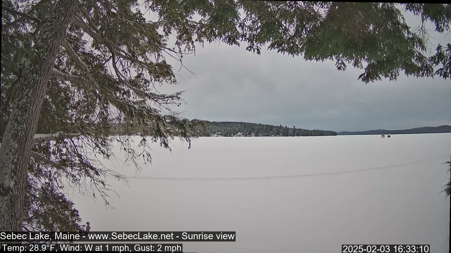 A snow-covered frozen lake stretches to a treeline under an overcast sky, partially viewed through snow-laden branches.