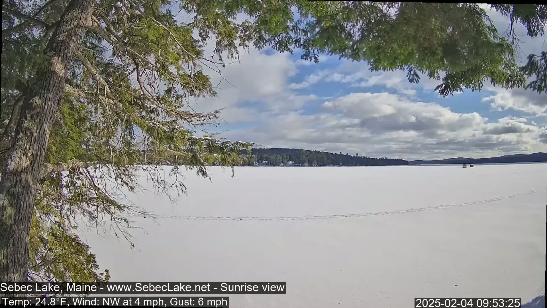 A partially frozen lake is seen under a partly cloudy sky, viewed from behind a snow-dusted evergreen tree.