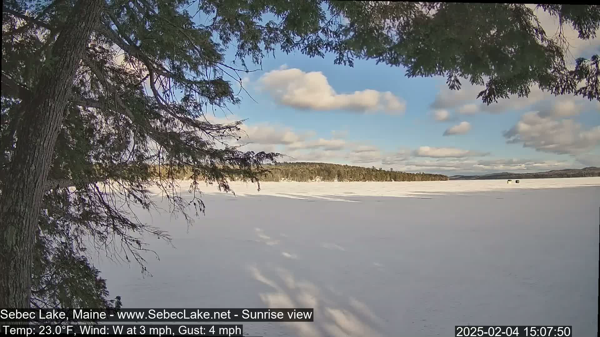 A partly cloudy, sunny day with a frozen lake viewed from behind tree branches.
