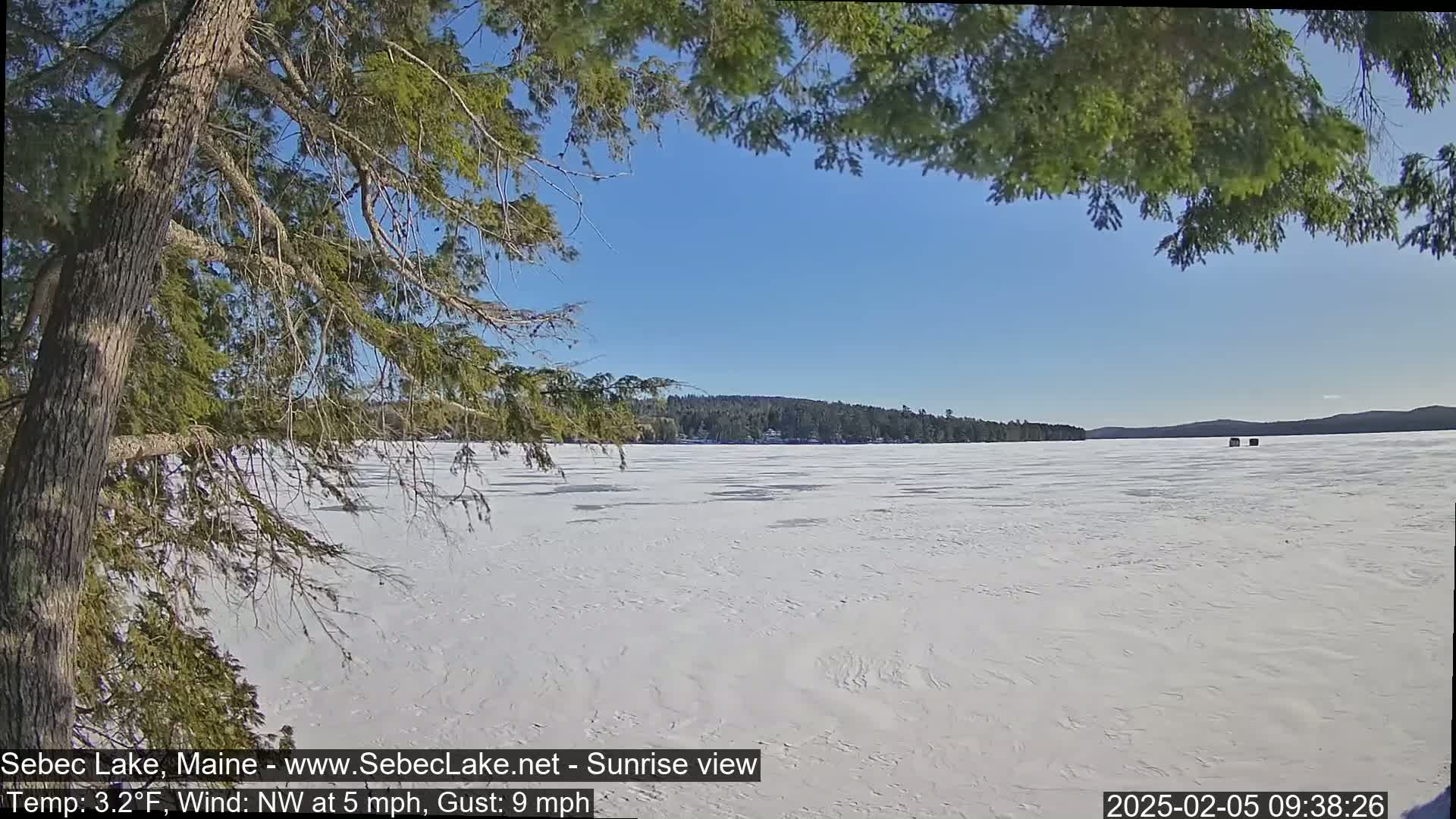 A snow-covered frozen lake stretches to a treeline under a clear blue sky, partially obscured by the branches of a pine tree in the foreground.
