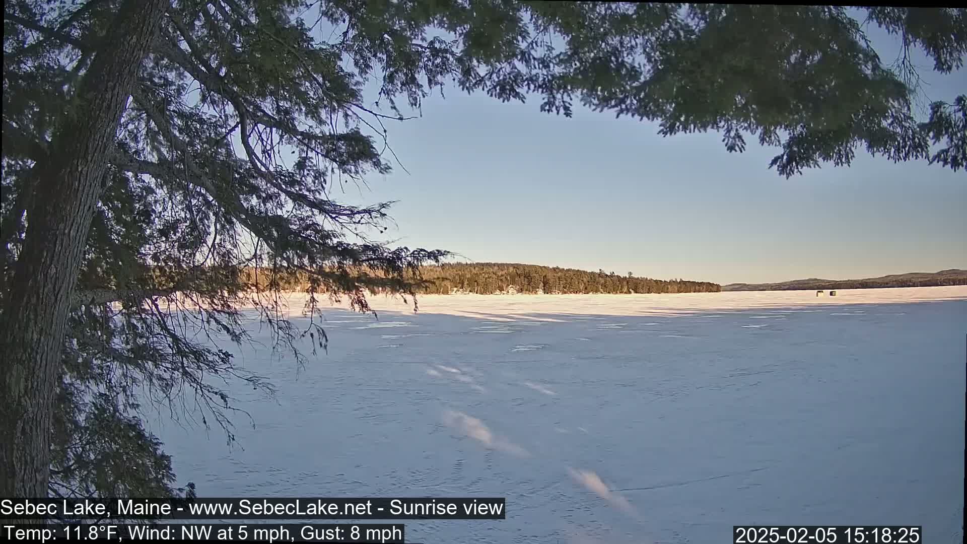 A frozen lake stretches to a tree-lined shore under a clear, pale blue sky, viewed through the branches of a tree.