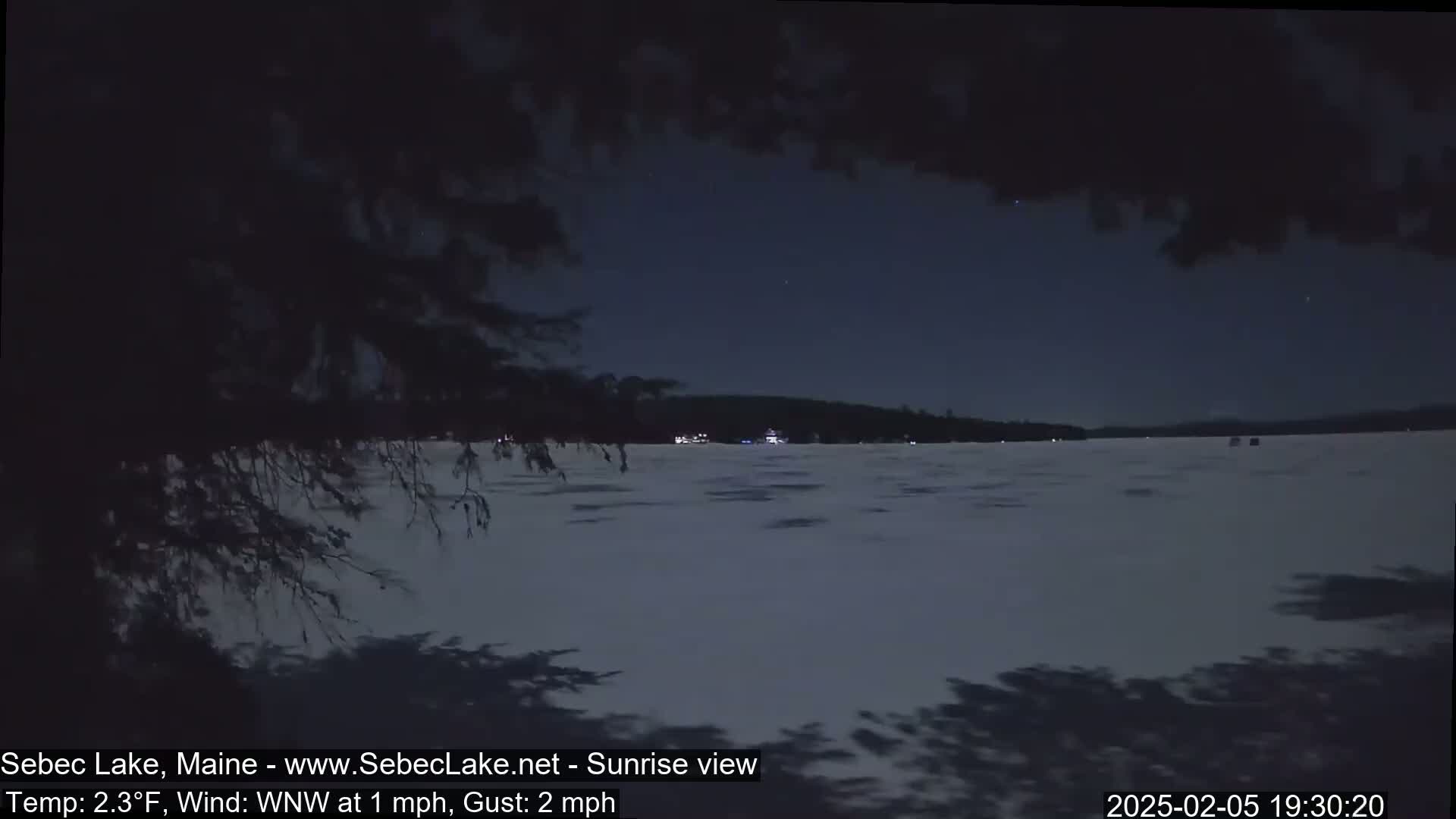 A nighttime view of a calm lake under a dark sky, partially obscured by overhanging branches.