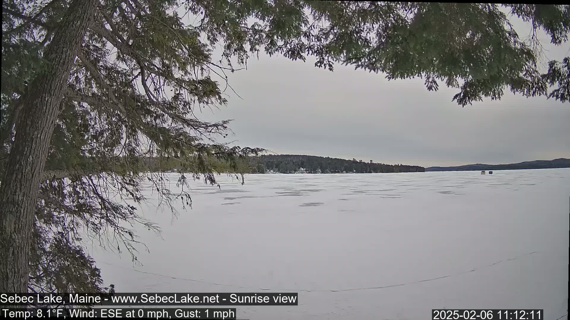 A snow-covered frozen lake is seen through the branches of a tree under a cloudy sky.