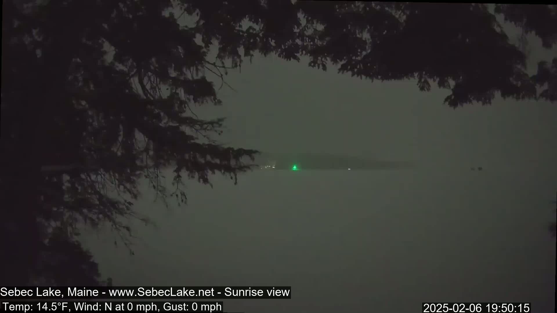 A foggy, nighttime view of a lake is seen from behind tree branches, with a small green light visible in the distance.