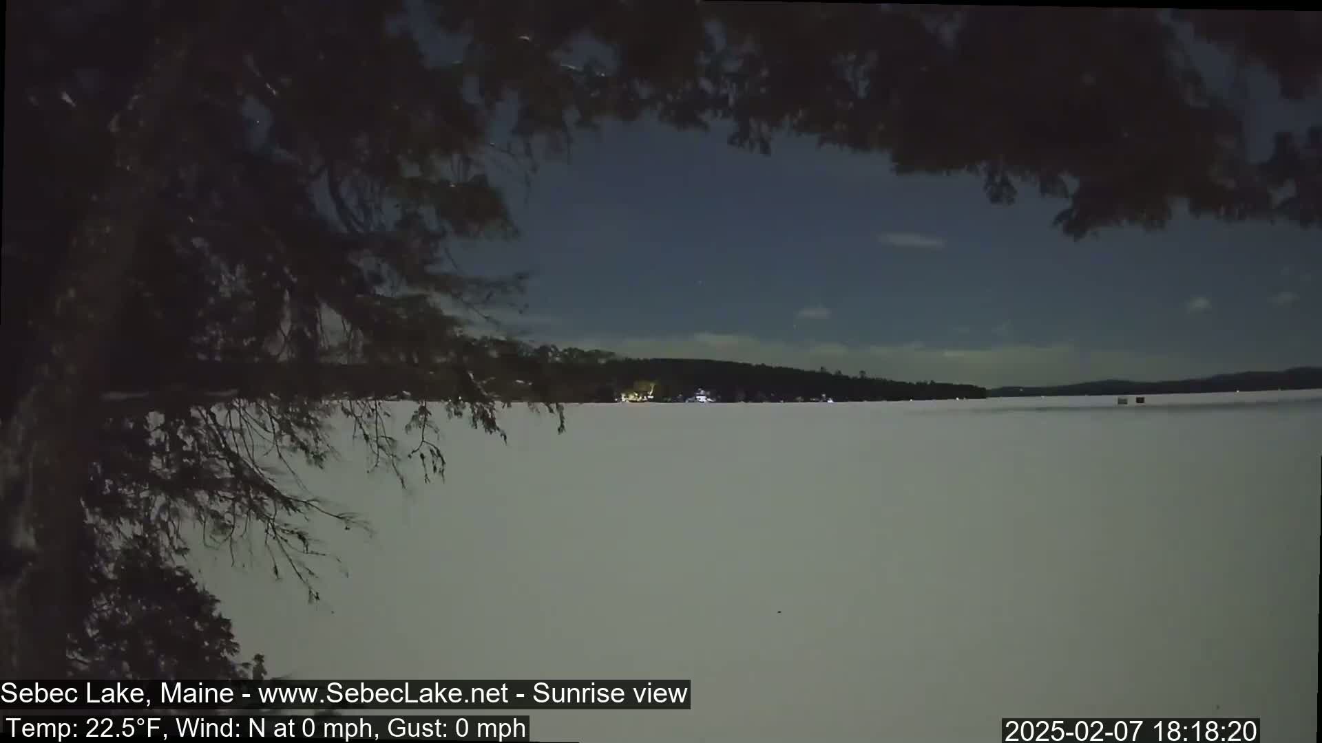 A snow-covered lake is seen at night under a clear, dark sky, partially obscured by tree branches in the foreground.