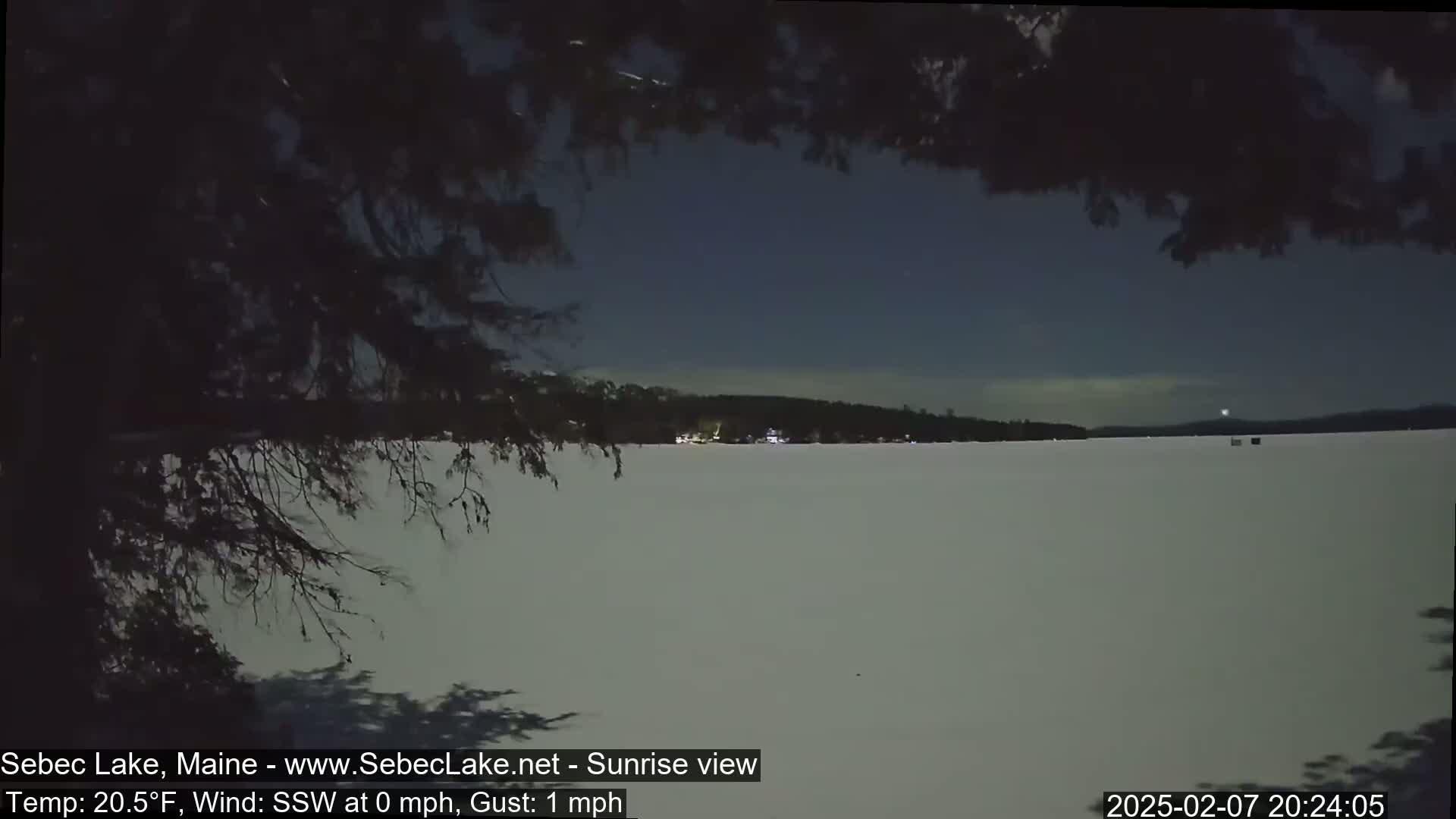 A snow-covered lake is seen at night under a dark, mostly clear sky, partially obscured by tree branches in the foreground.