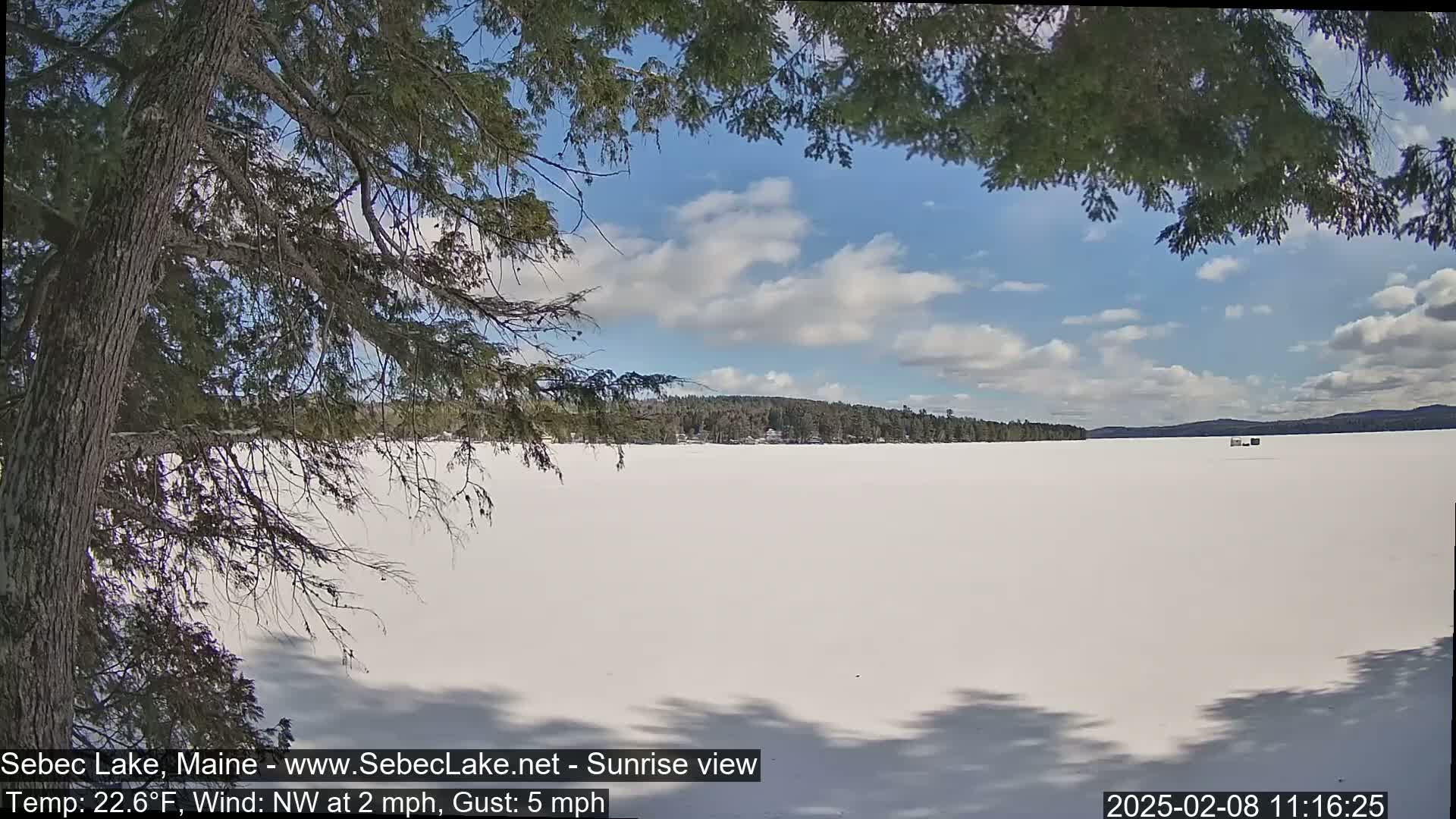A mostly sunny day with a light northwest wind shows a snow-covered lake viewed through the branches of a coniferous tree.