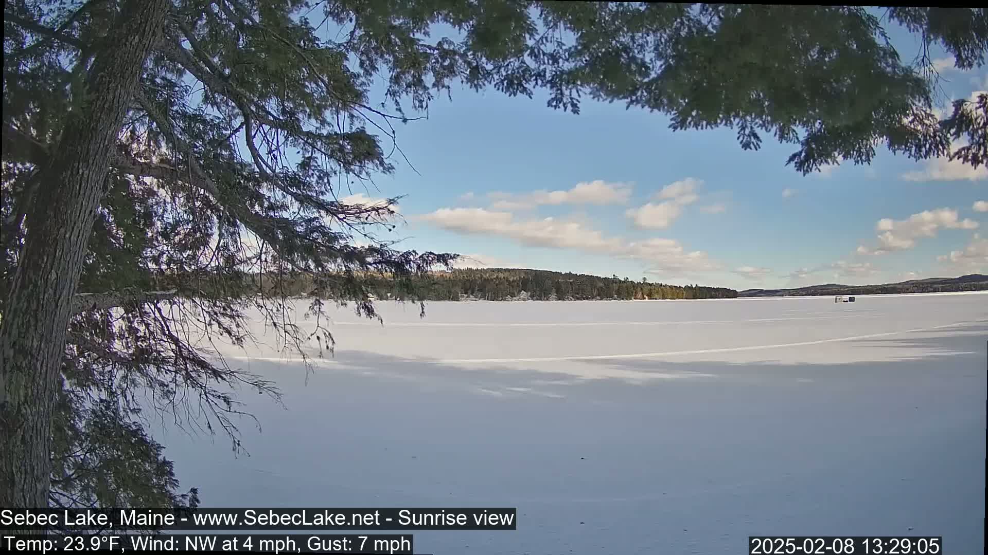 A partially frozen lake is seen from behind a tree, under a partly cloudy, sunny sky.