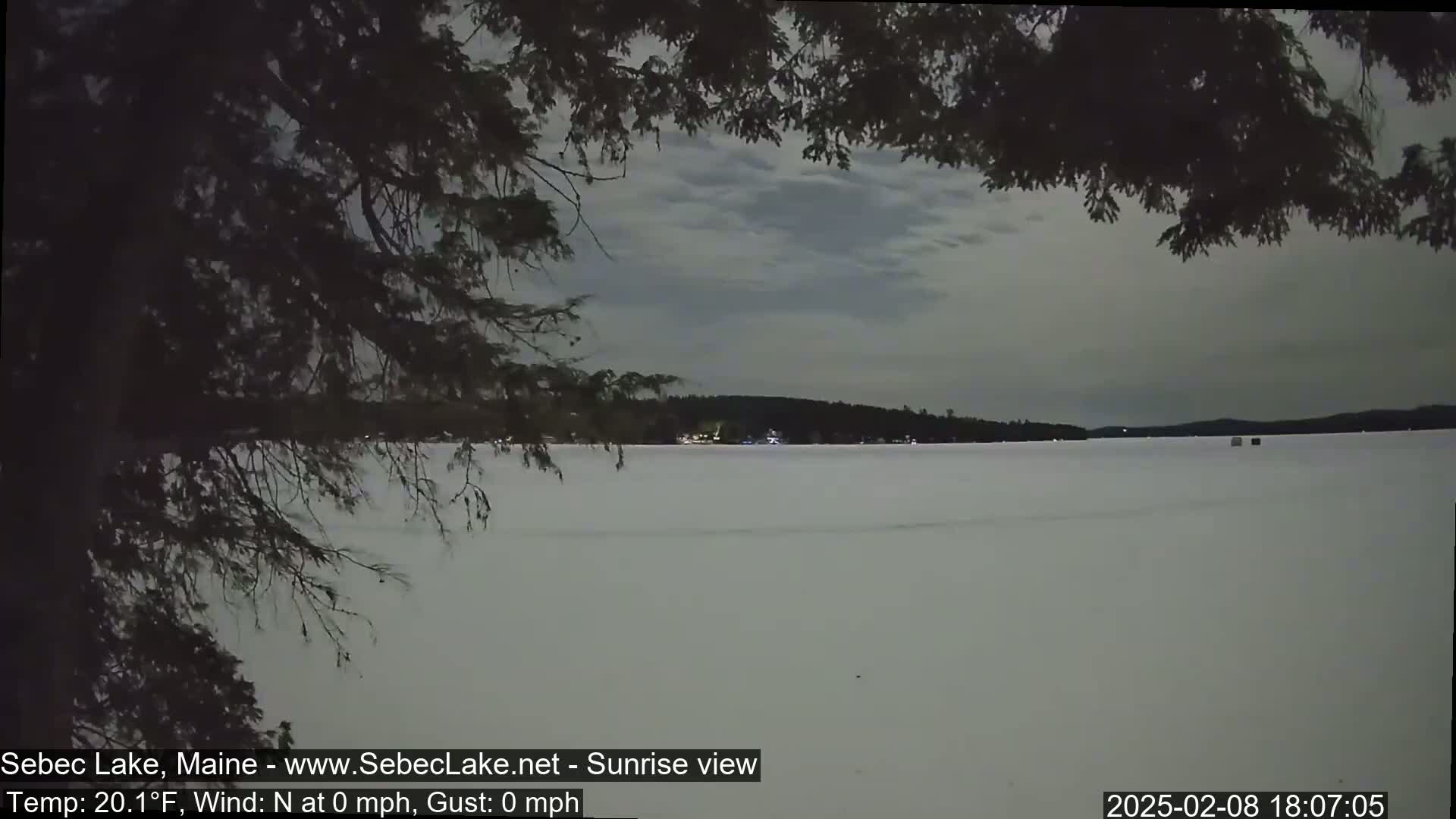 A frozen lake is visible through the branches of a tree under a cloudy, twilight sky.