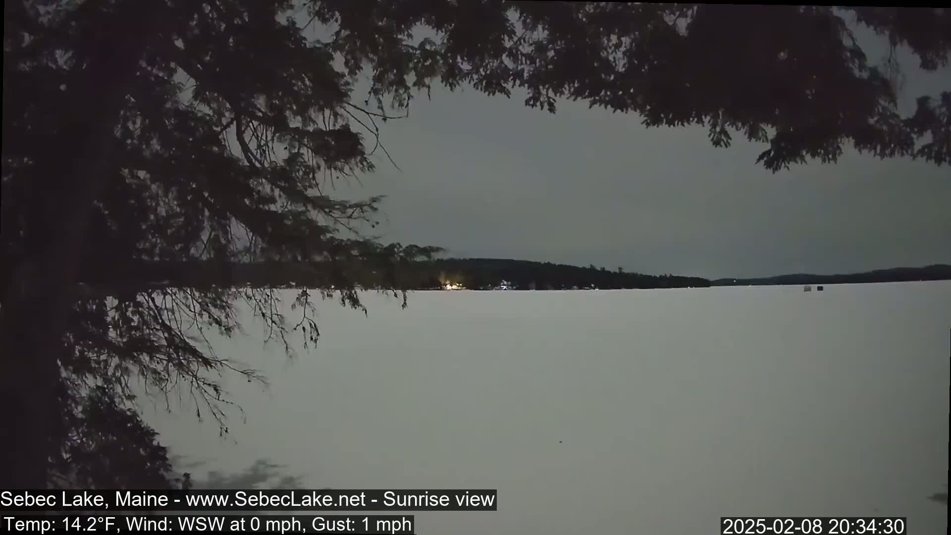 A snow-covered lake is visible under a dusky sky, partially obscured by dark tree branches in the foreground.
